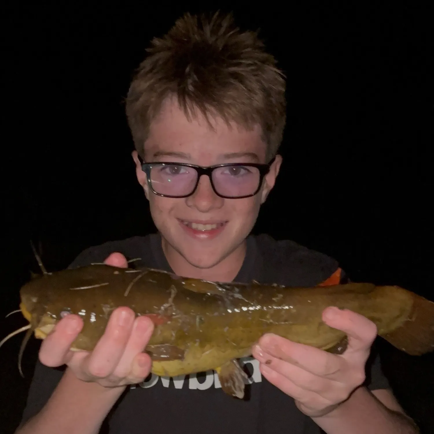 Yellow bullhead caught on Fishbrain