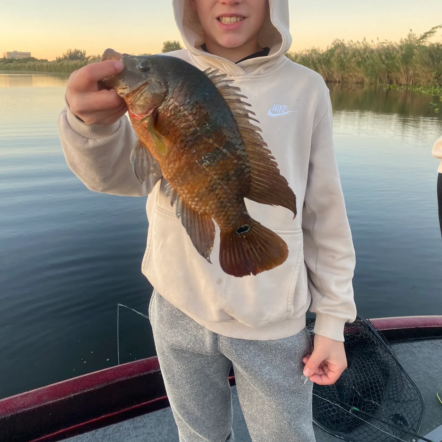The most recent Mayan cichlid catches on Fishbrain