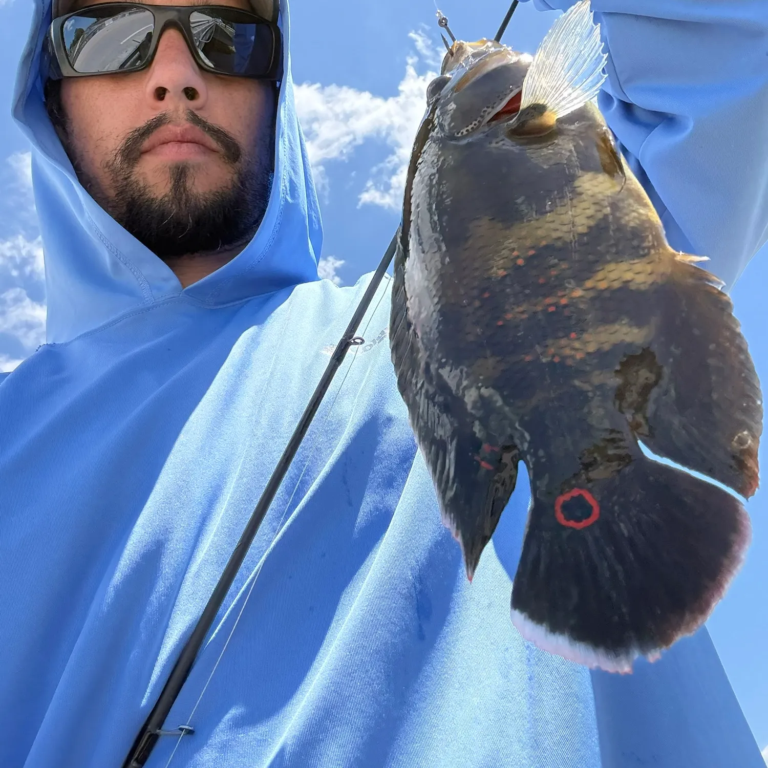The most recent Oscar catches on Fishbrain