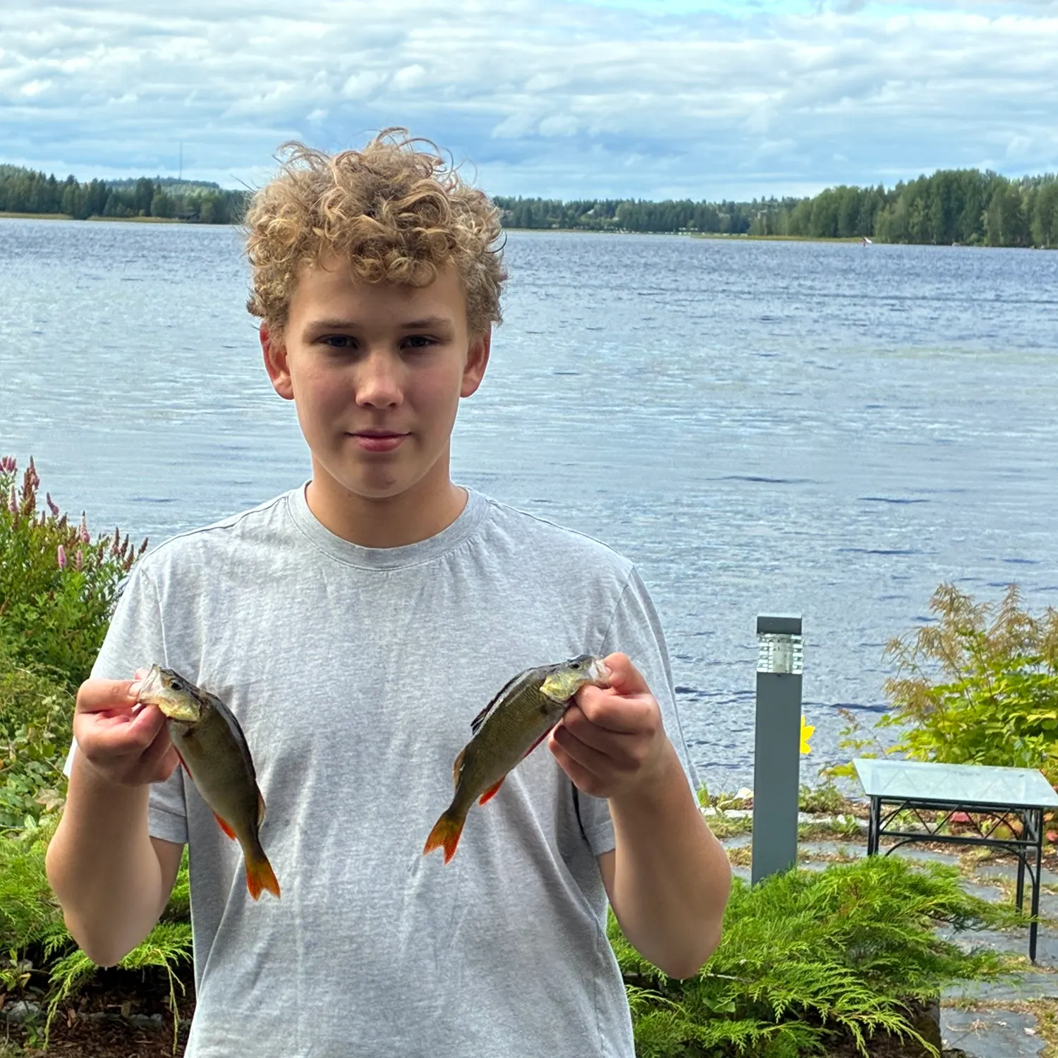 European perch caught on Fishbrain