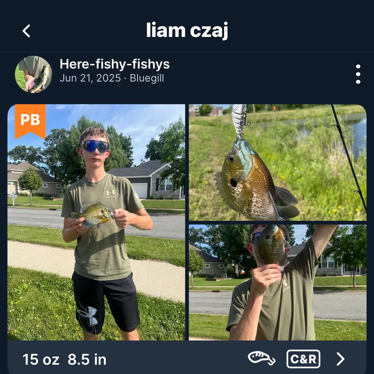 recently logged catches