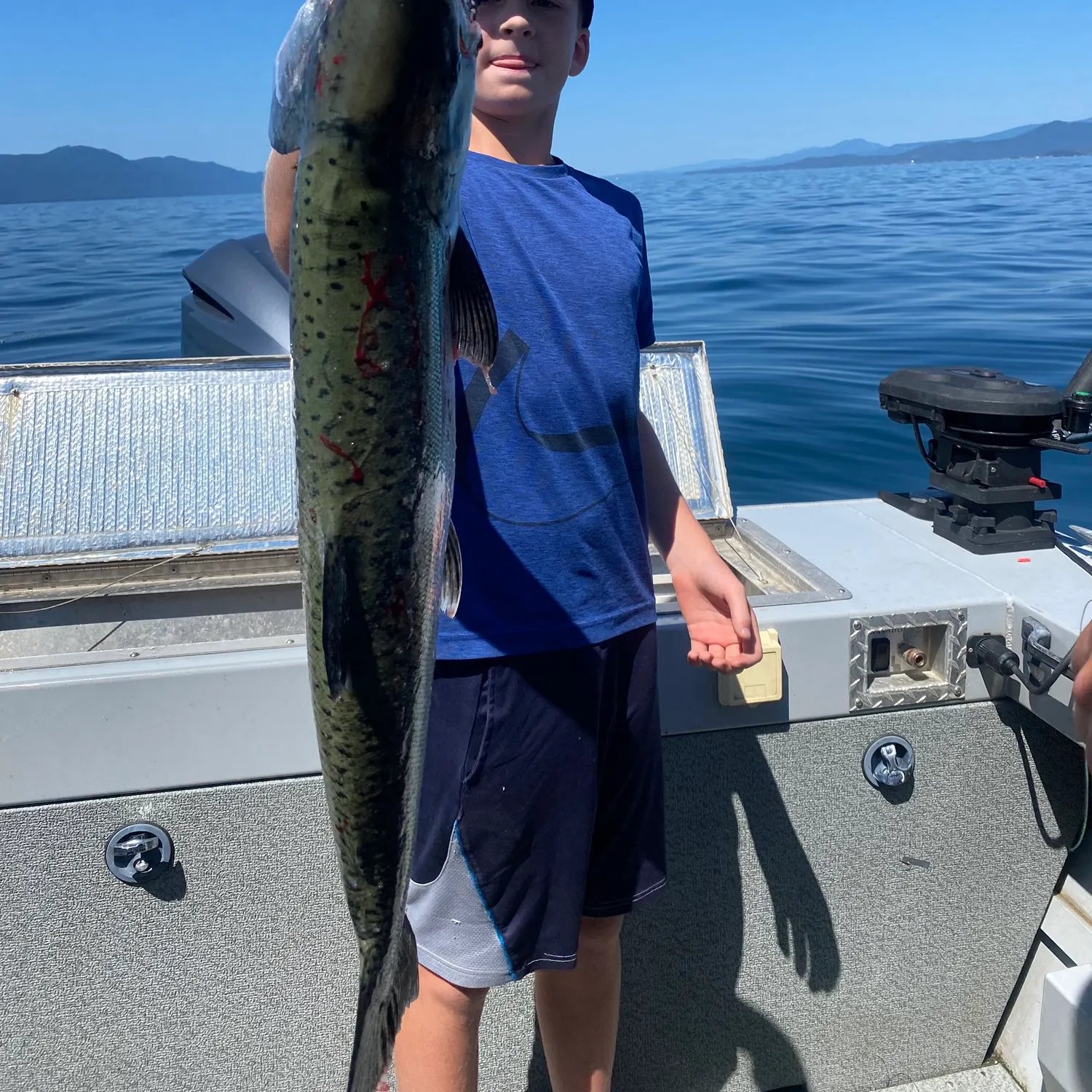 The most recent Chinook salmon catches on Fishbrain