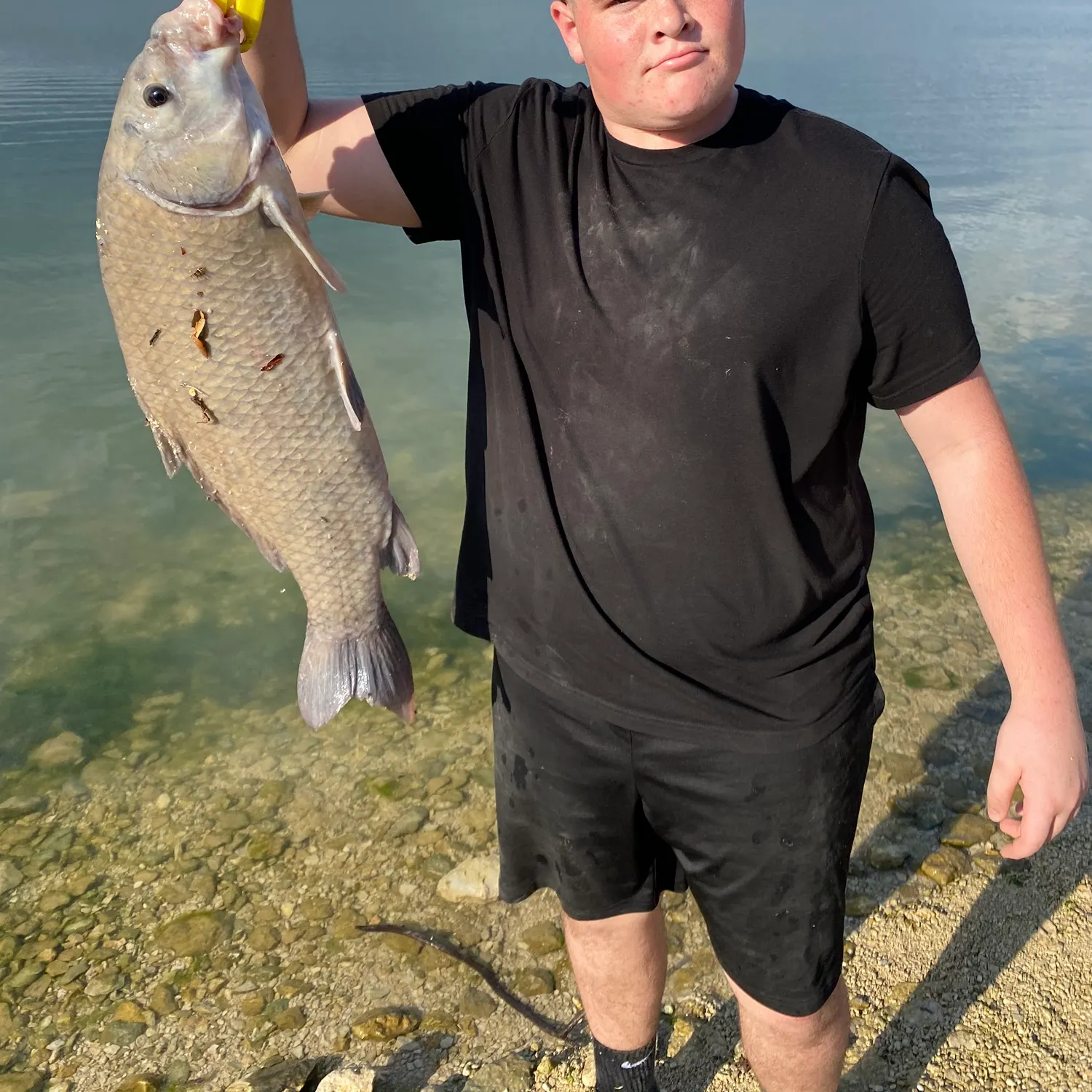 The most recent Black buffalo catches on Fishbrain