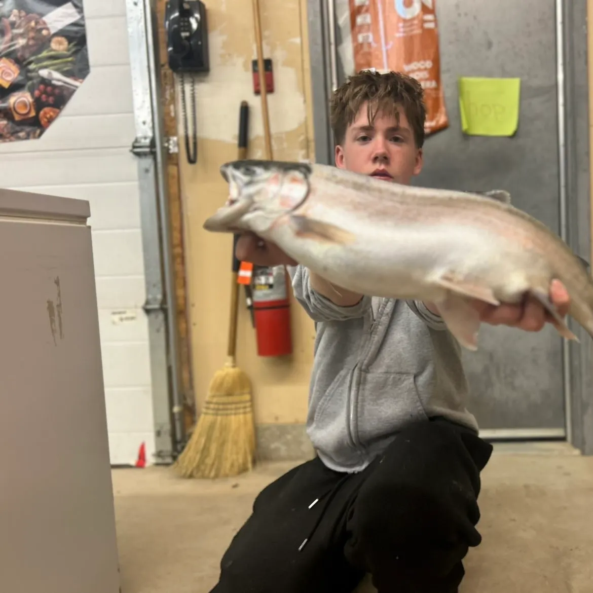 Rainbow trout caught on Fishbrain