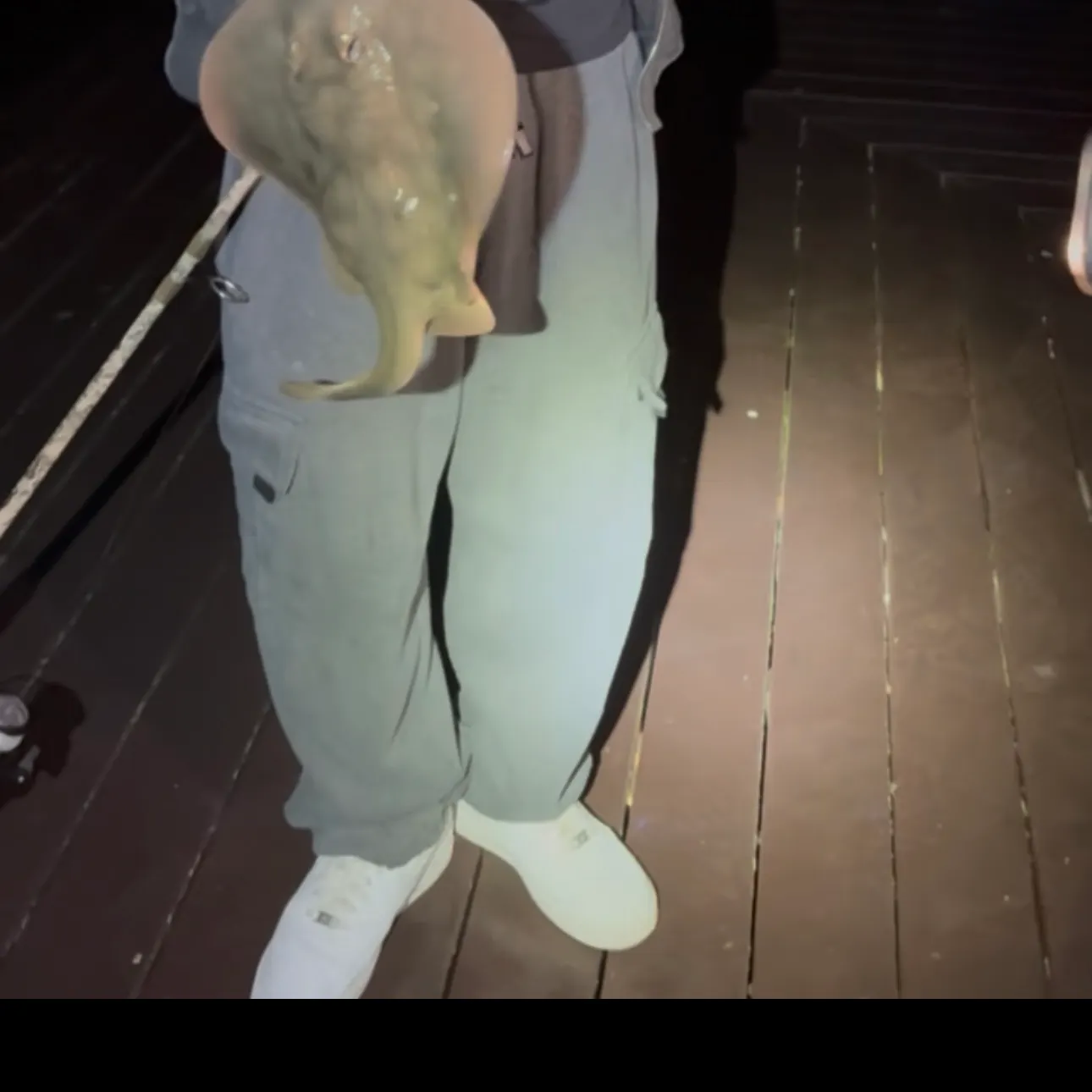 The most recent Common stingaree catches on Fishbrain