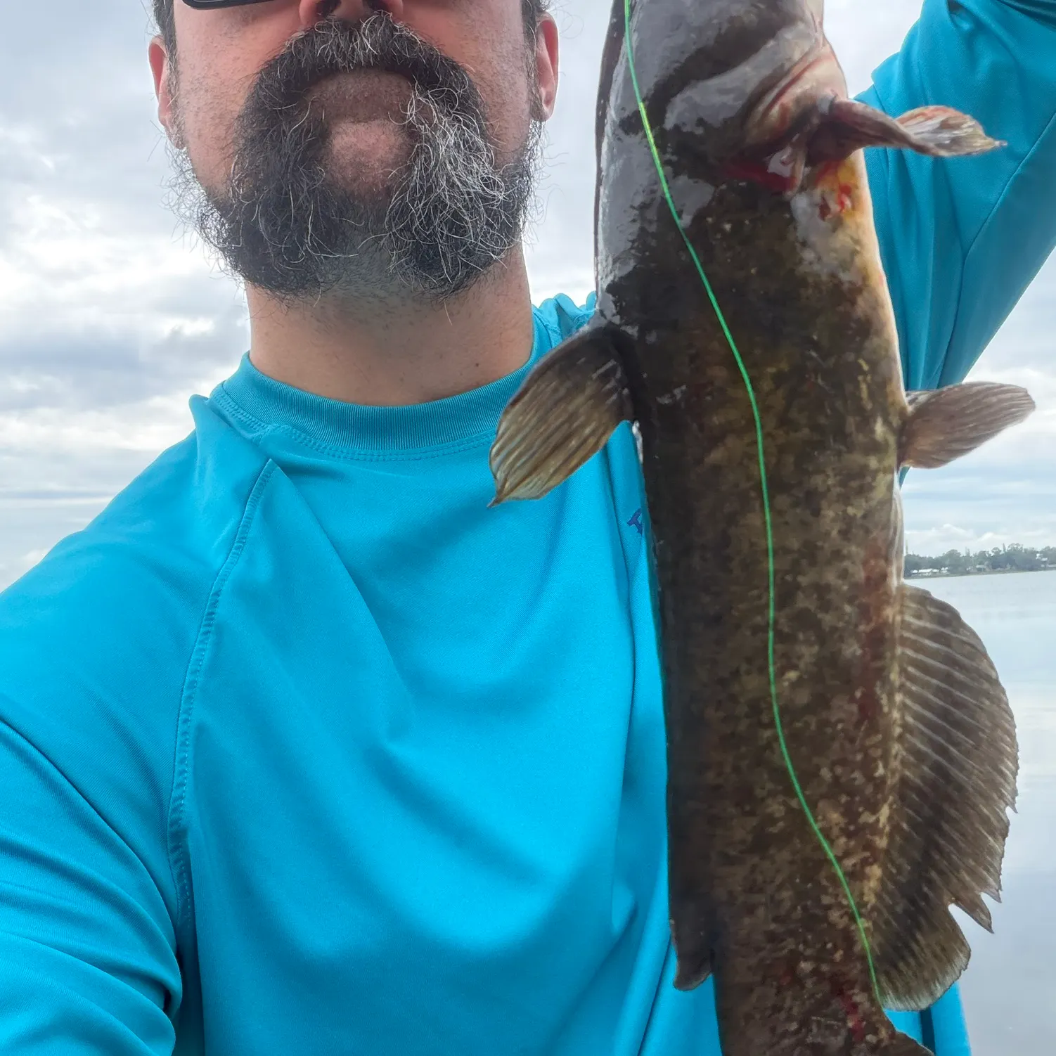 Brown bullhead caught on Fishbrain
