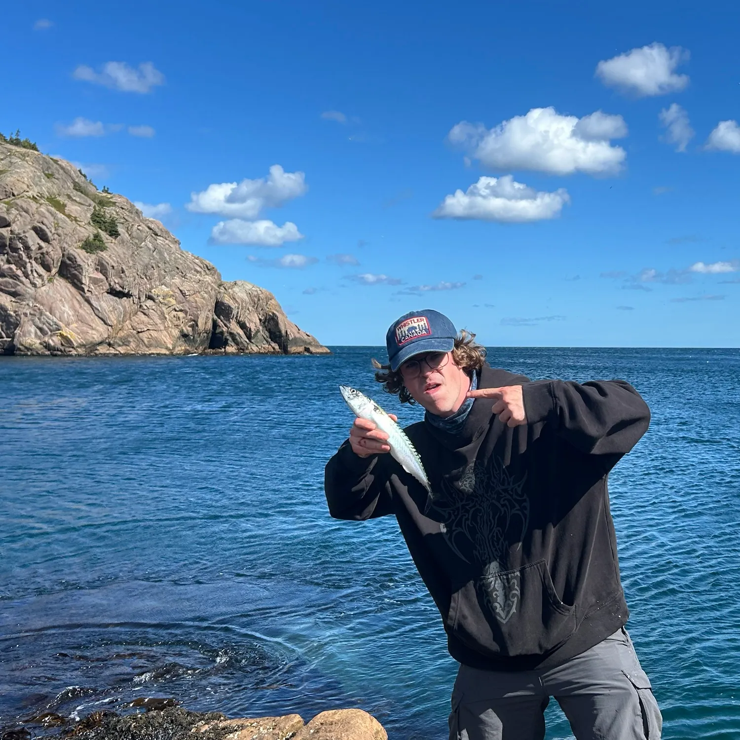 Atlantic mackerel caught on Fishbrain