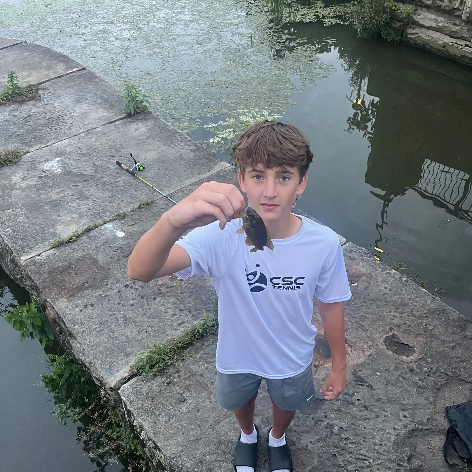 Bluegill caught on Fishbrain