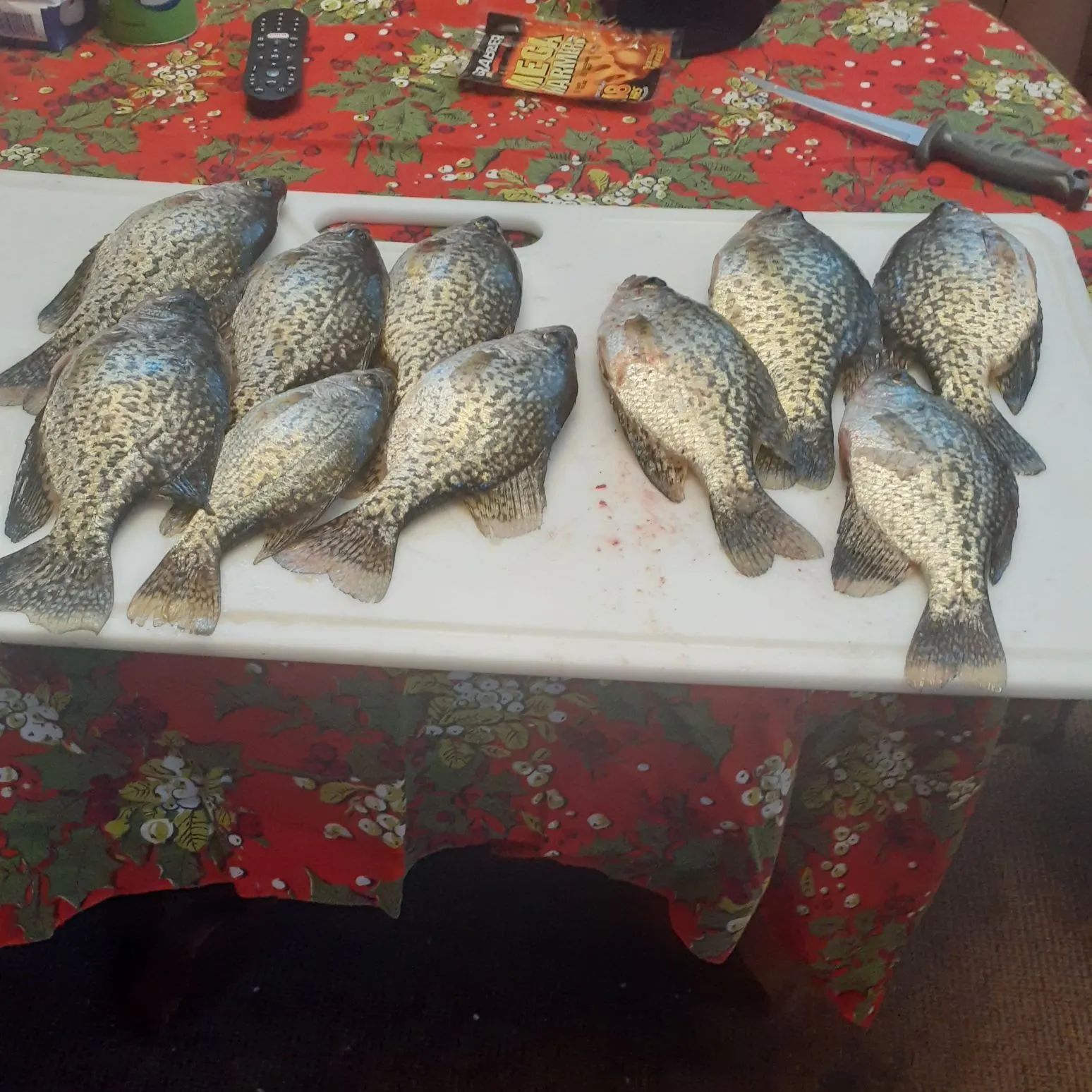 recently logged catches