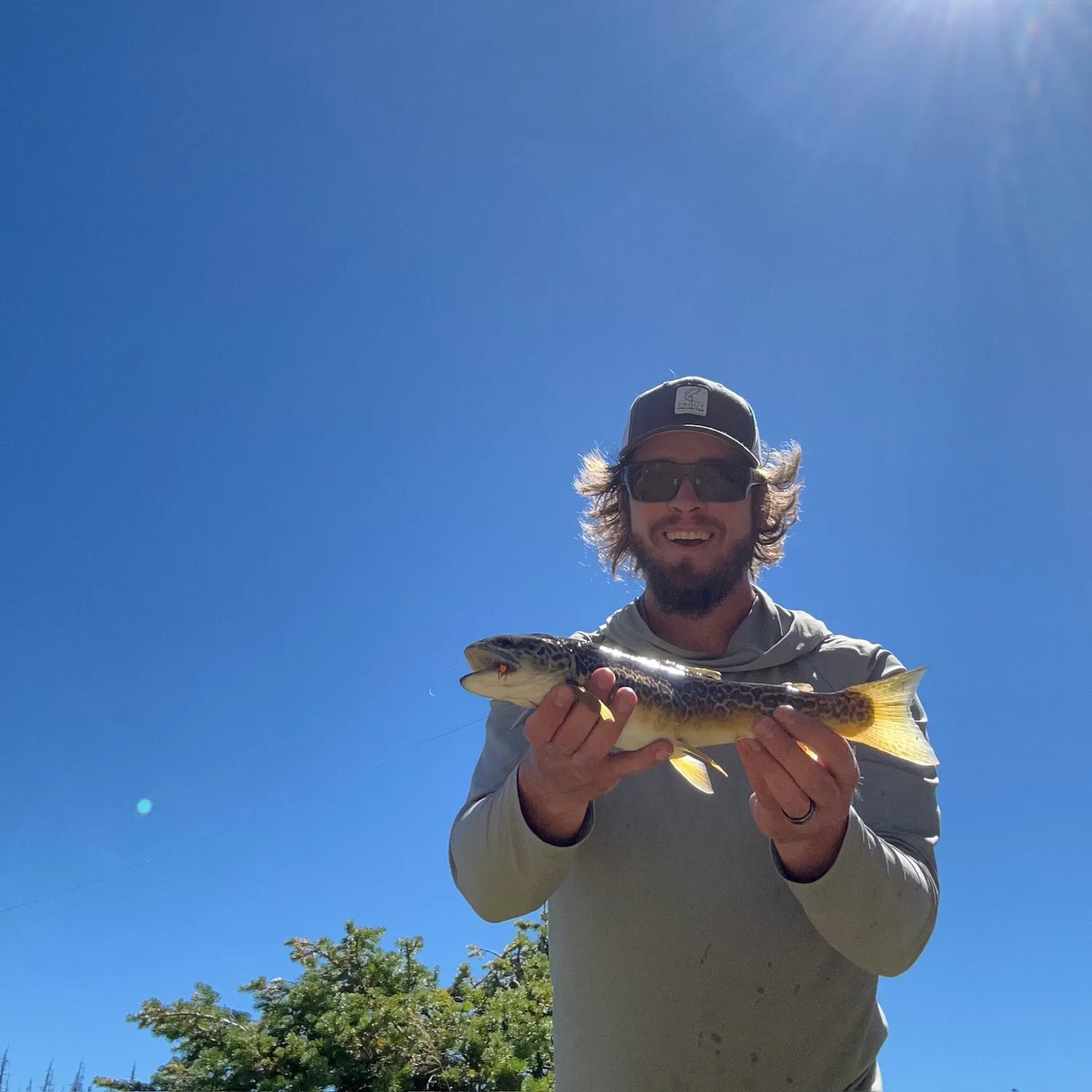 Tiger trout caught on Fishbrain