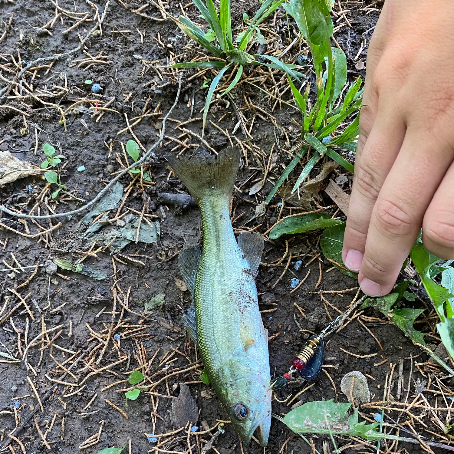 angler catch