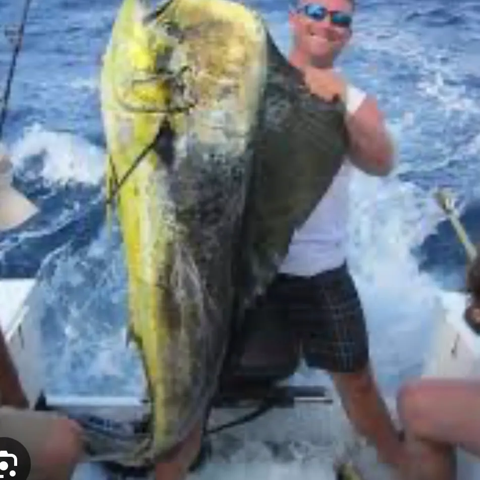Crevalle jack caught on Fishbrain