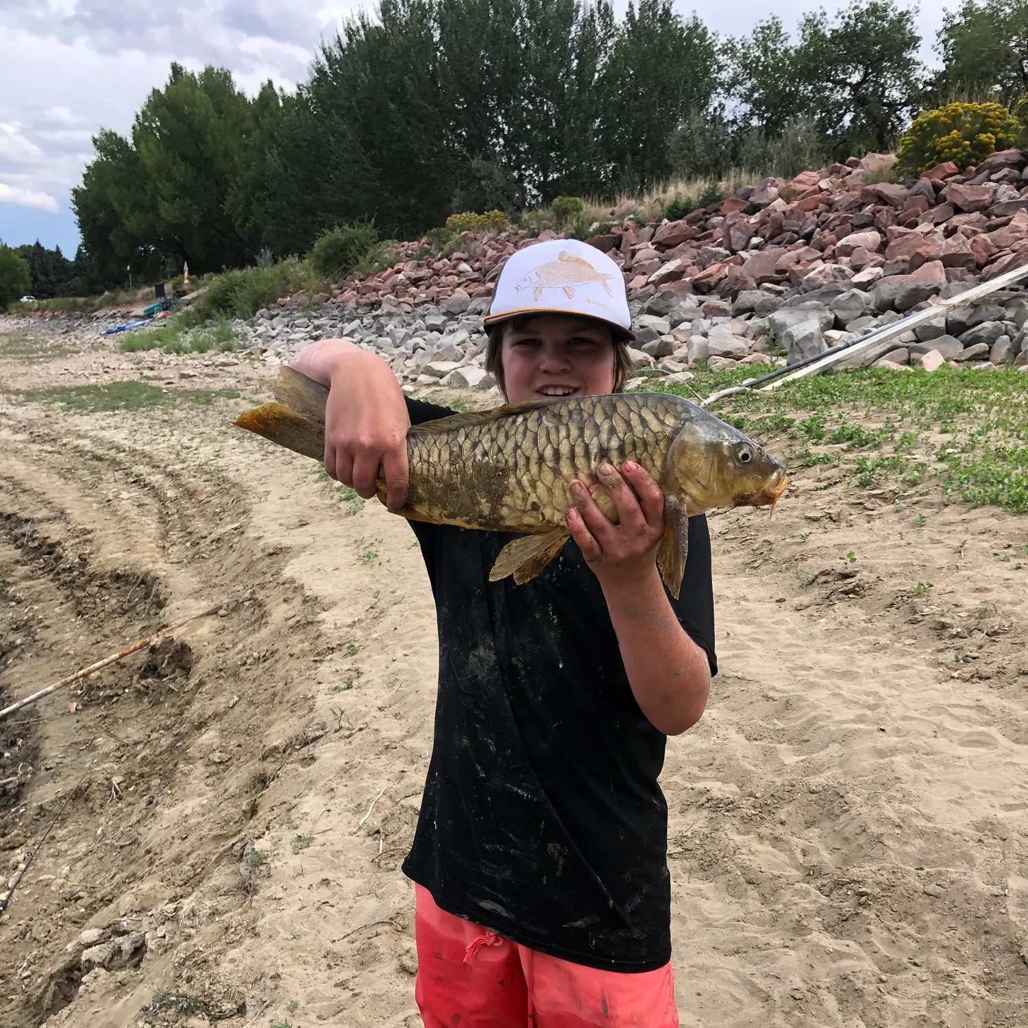 Mirror carp caught on Fishbrain