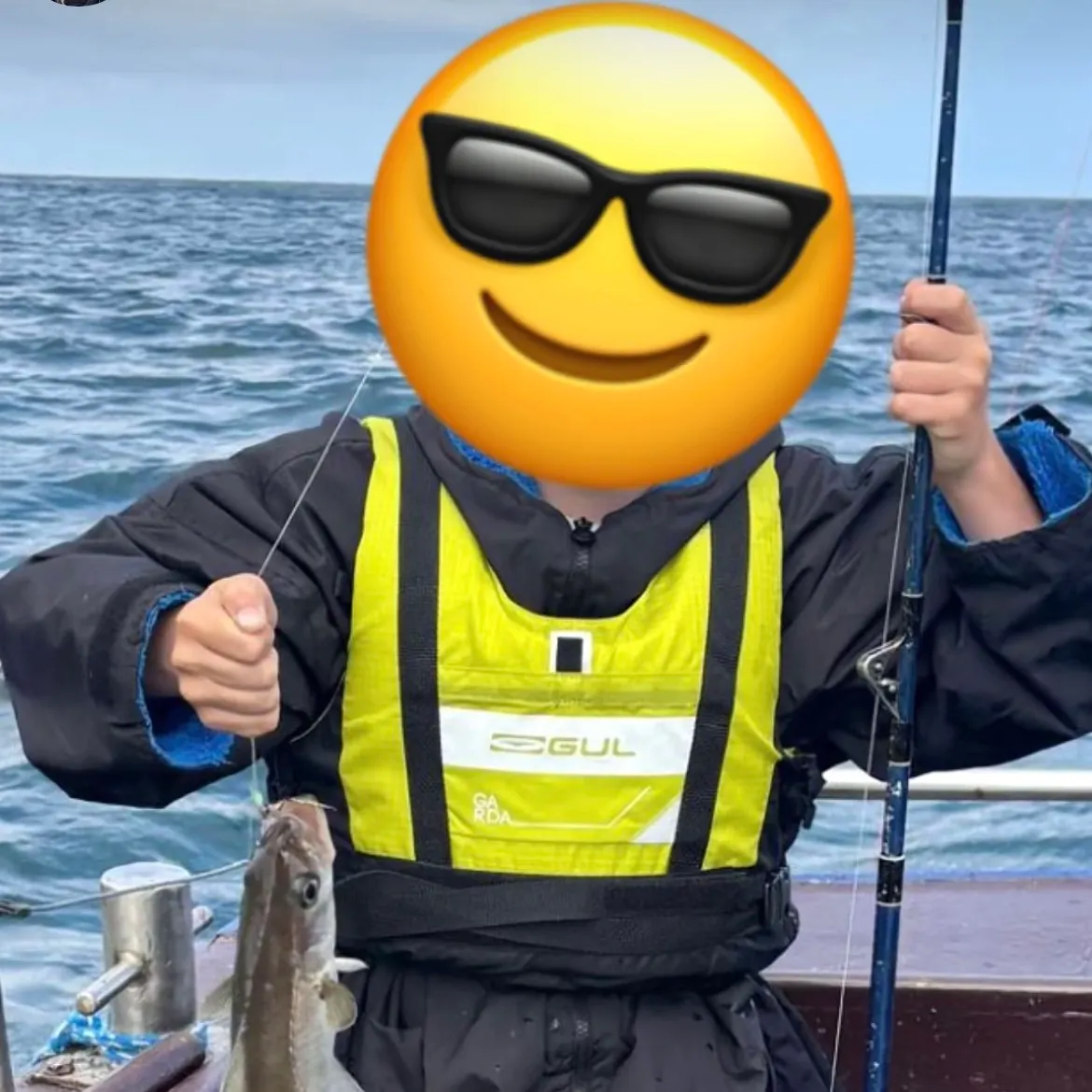 The most recent Pollack catches on Fishbrain