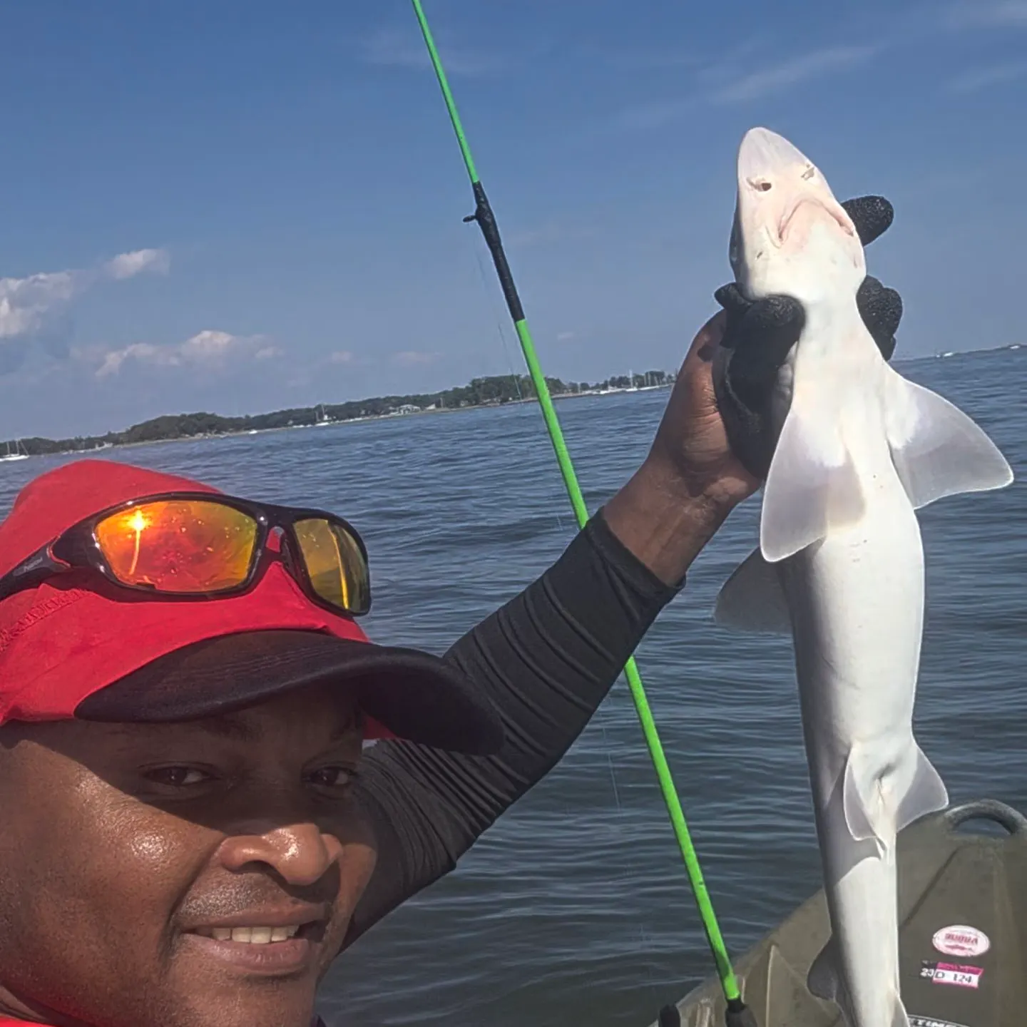 The most recent Brownbanded bamboo shark catches on Fishbrain