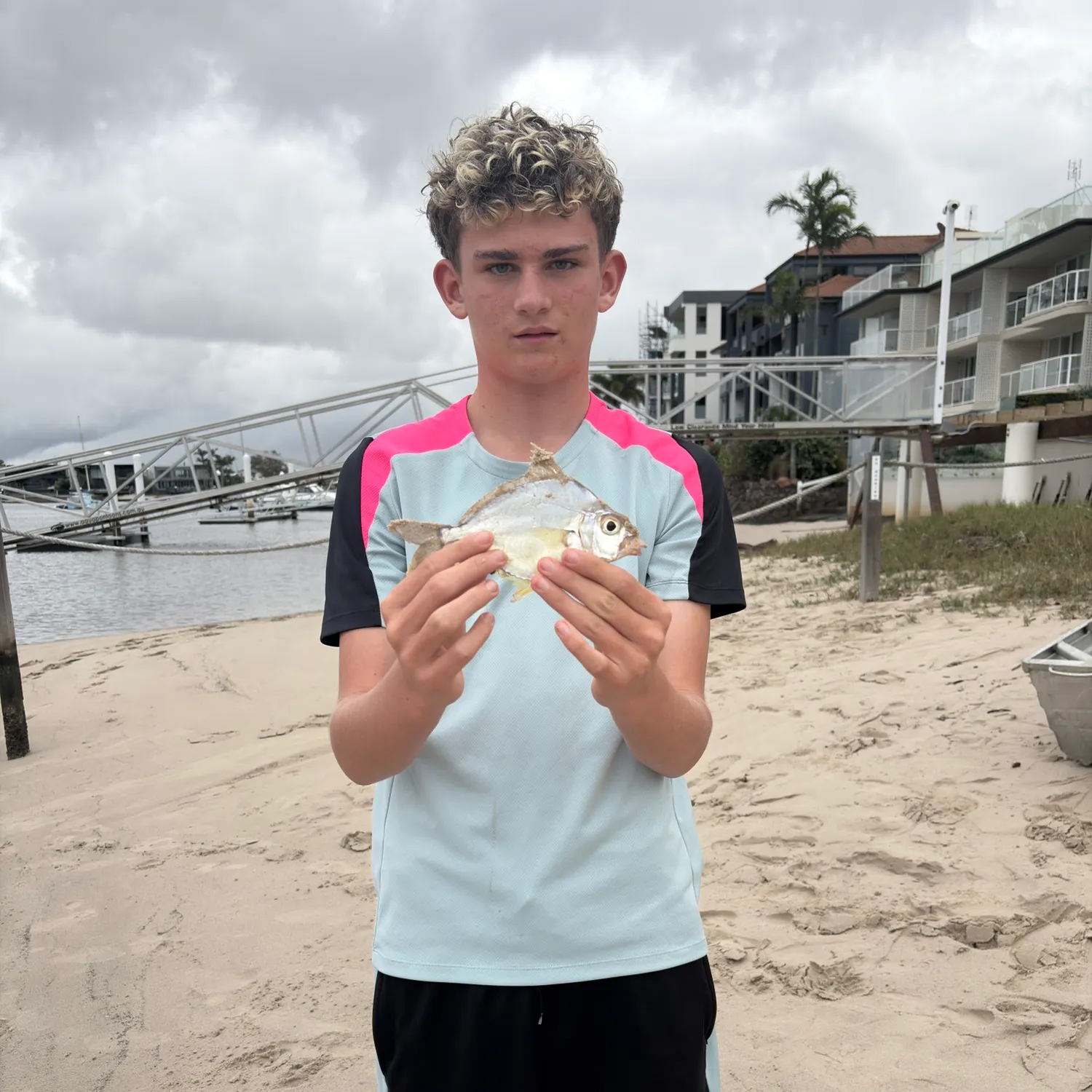 The most recent Striped ponyfish catches on Fishbrain