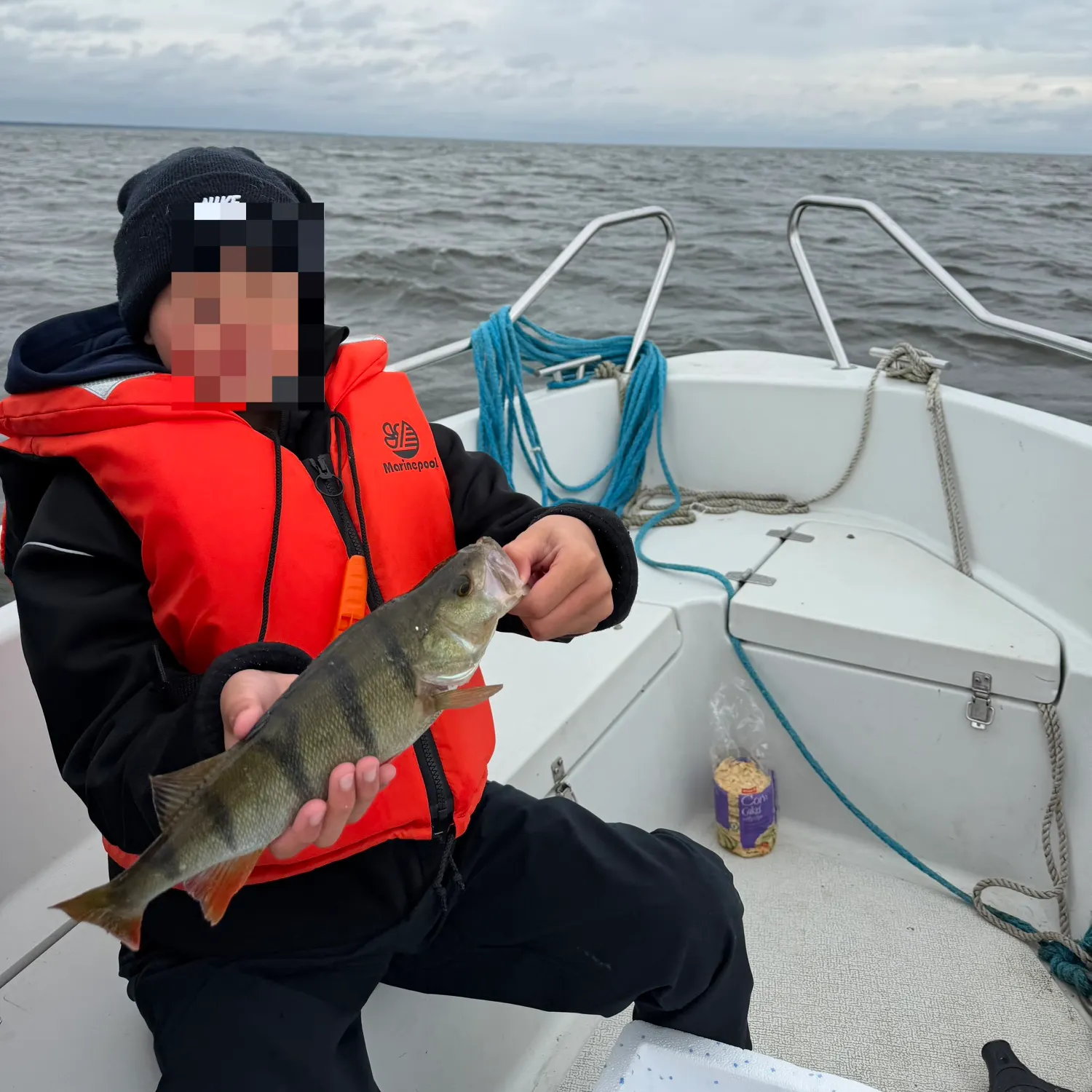 European perch caught on Fishbrain