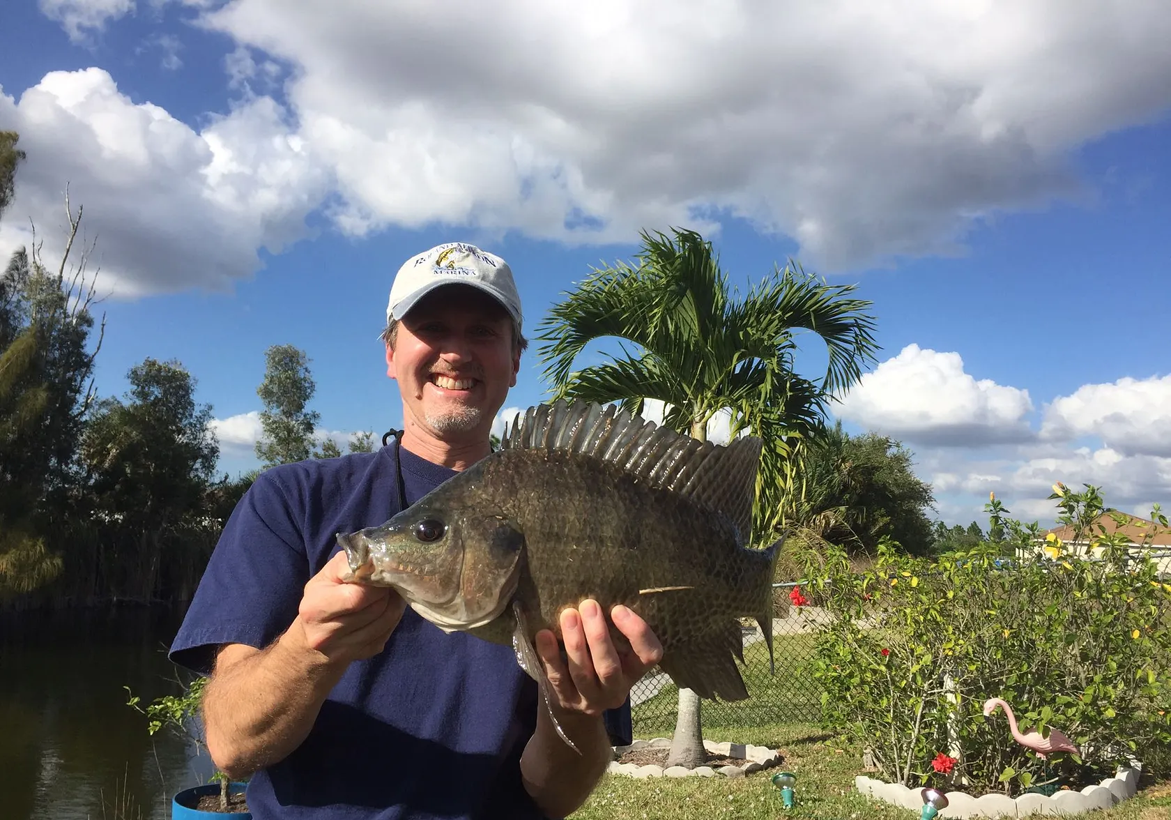 Nile tilapia