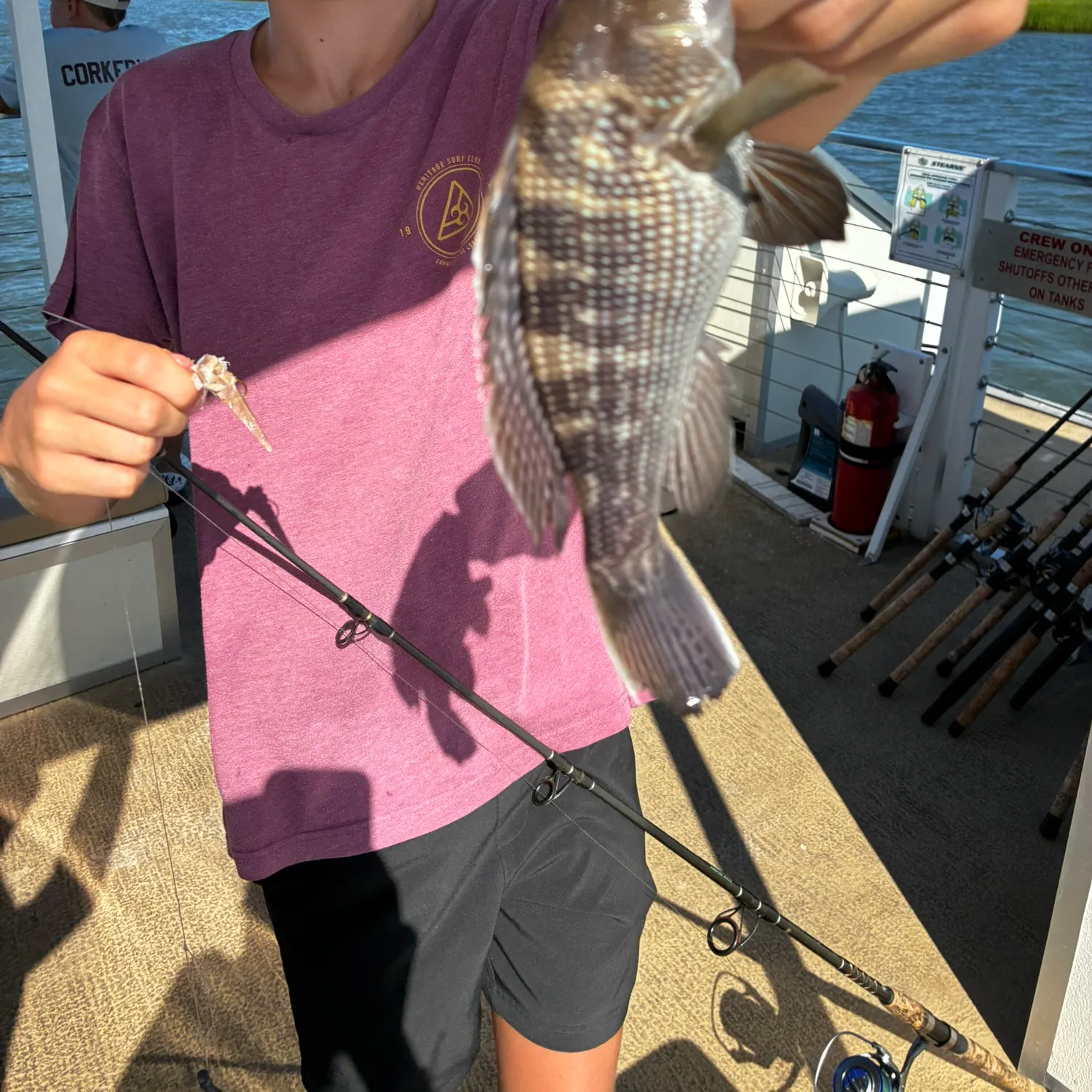 recently logged catches