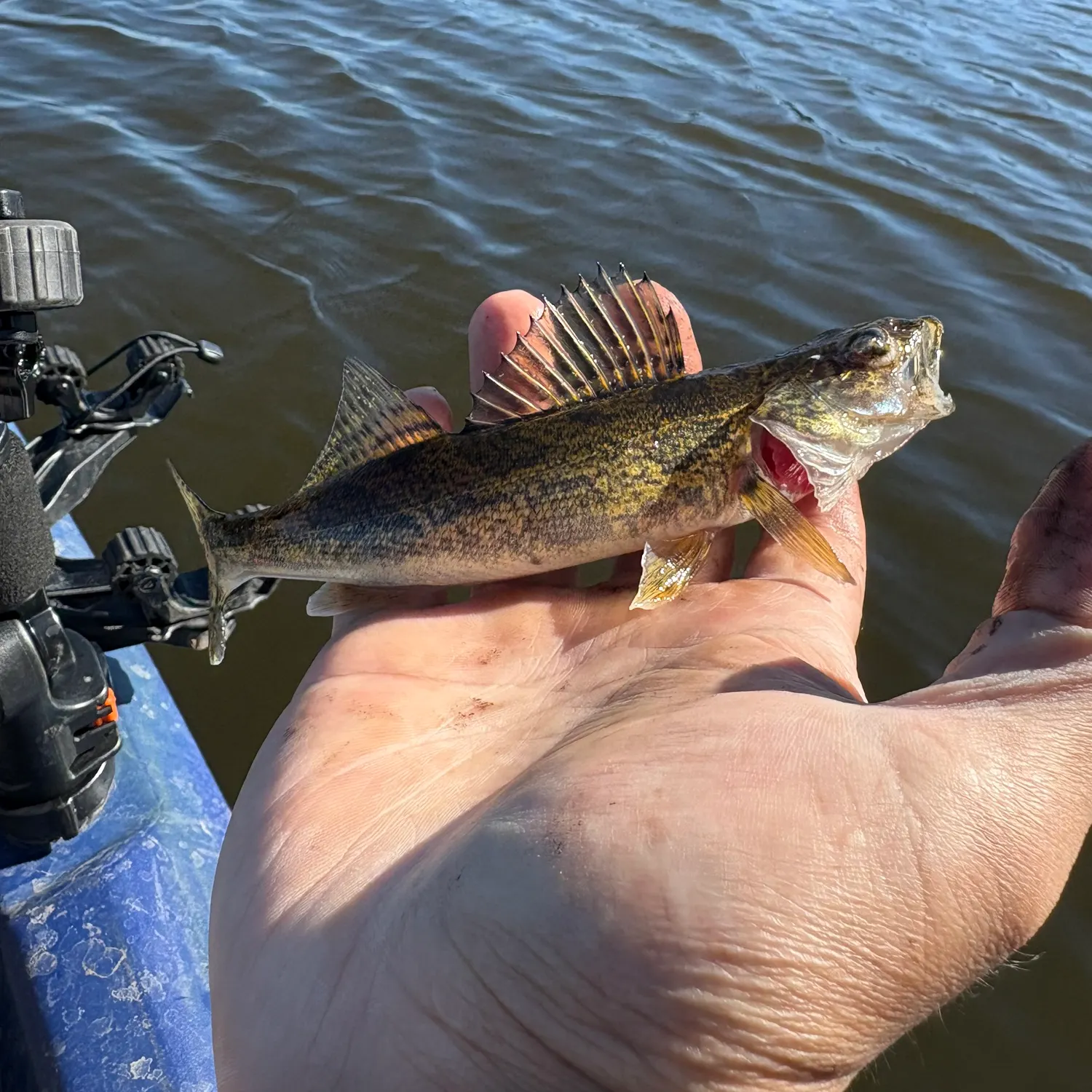 Fishing in Sioux Falls, SD (United States) ️️️️ Find Spots, Species & Tips