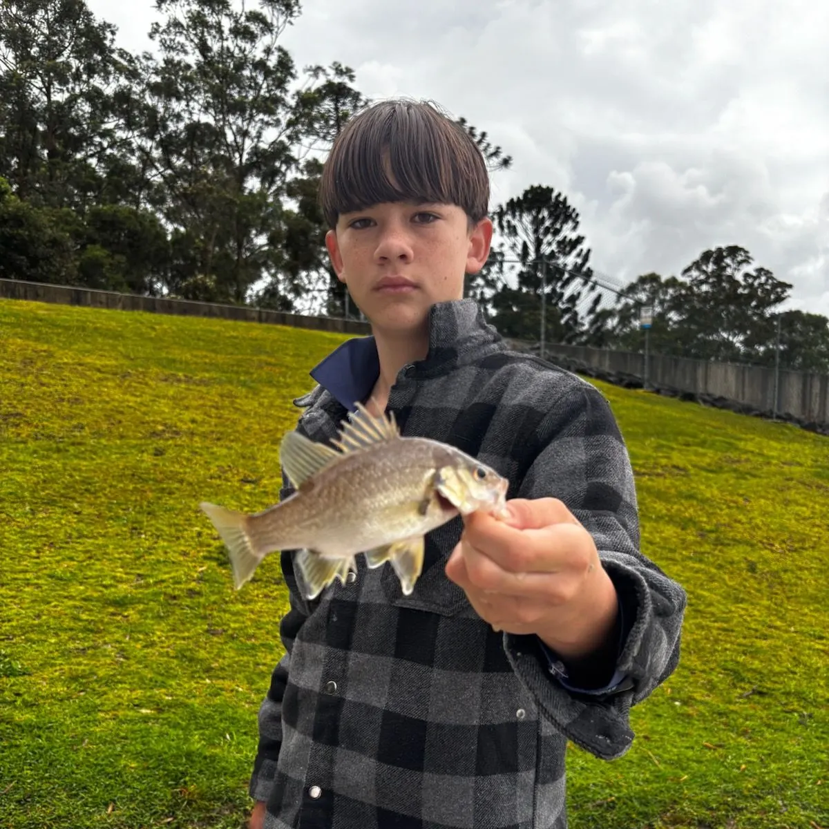 Australian bass caught on Fishbrain