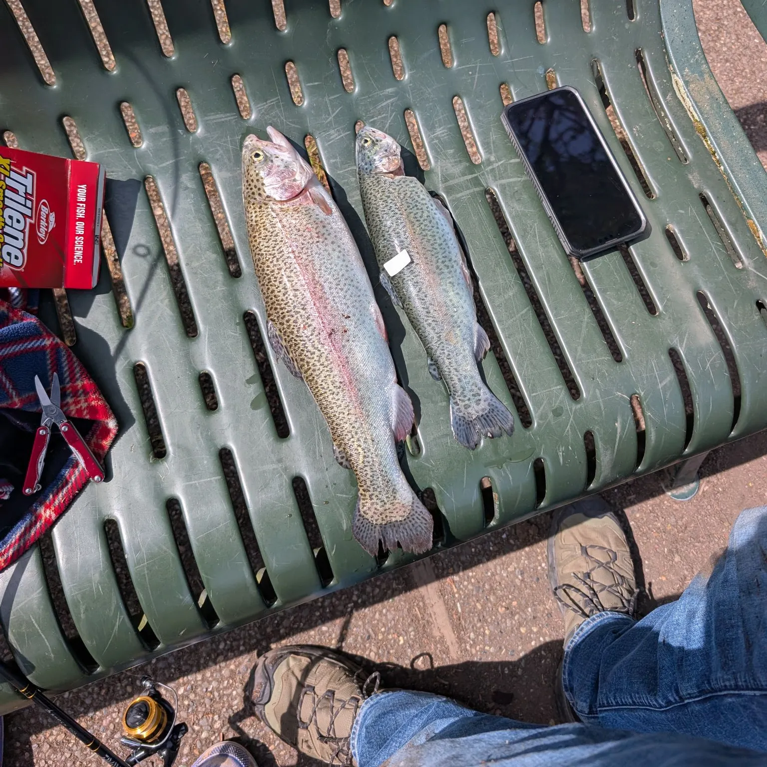 recently logged catches