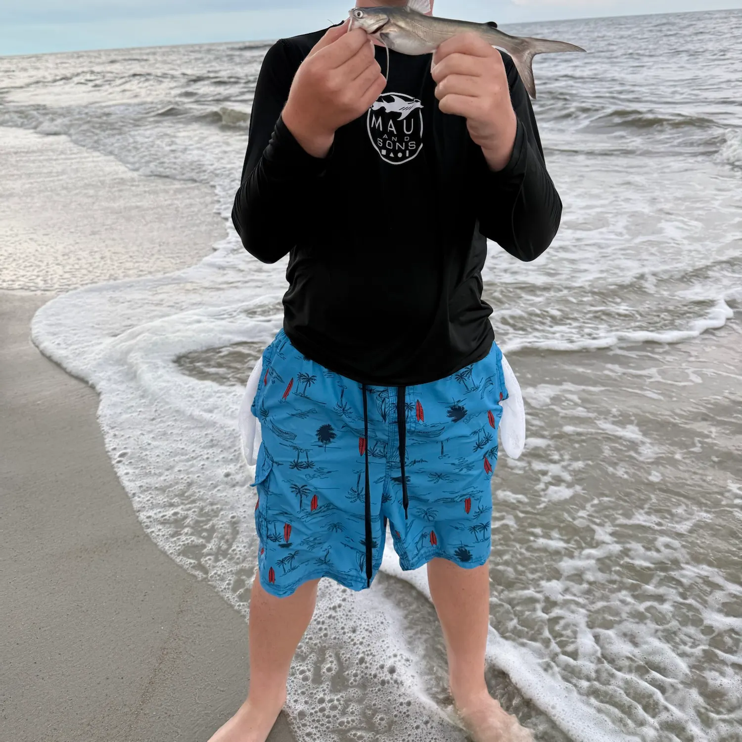 Gafftopsail sea catfish caught on Fishbrain