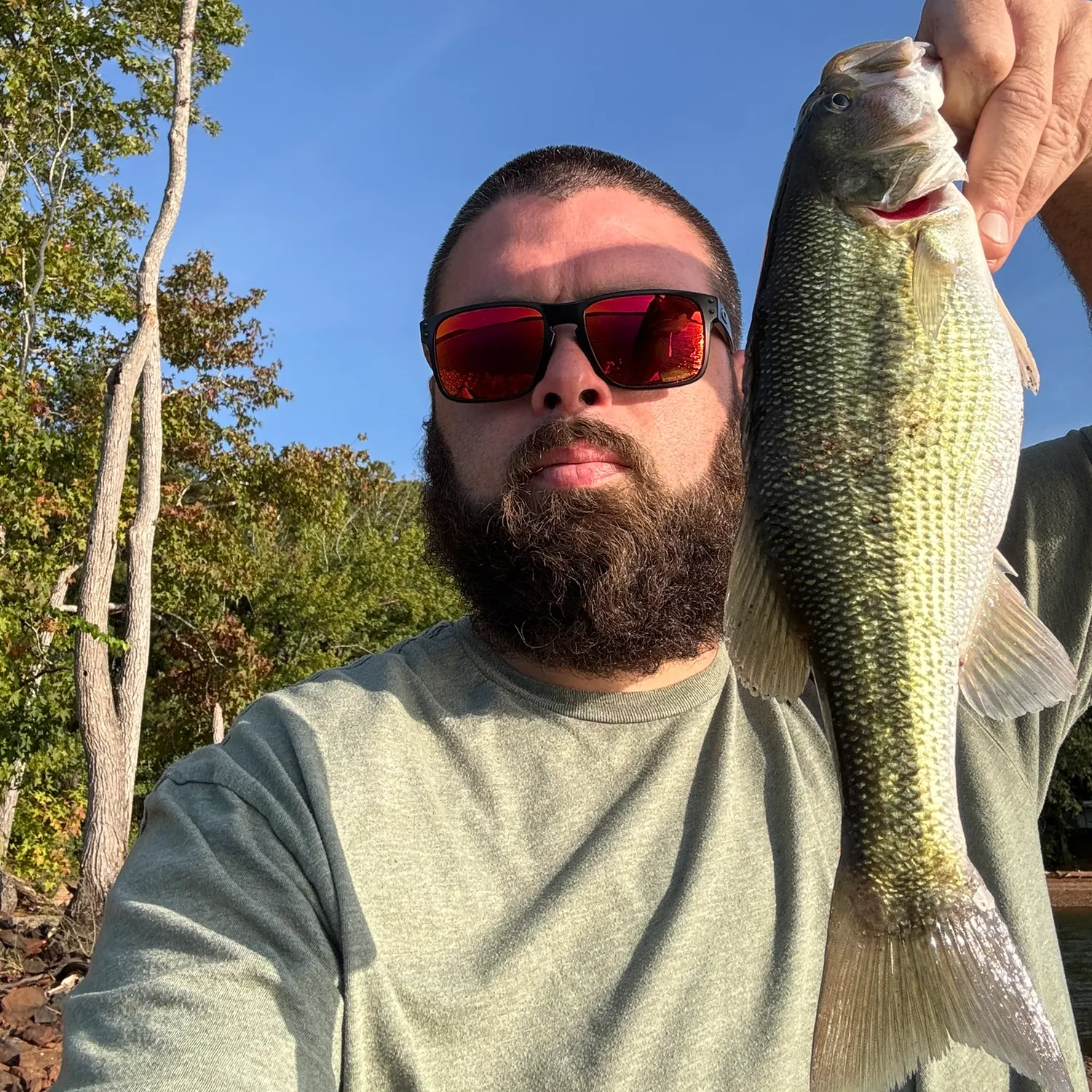 Spotted bass caught on Fishbrain