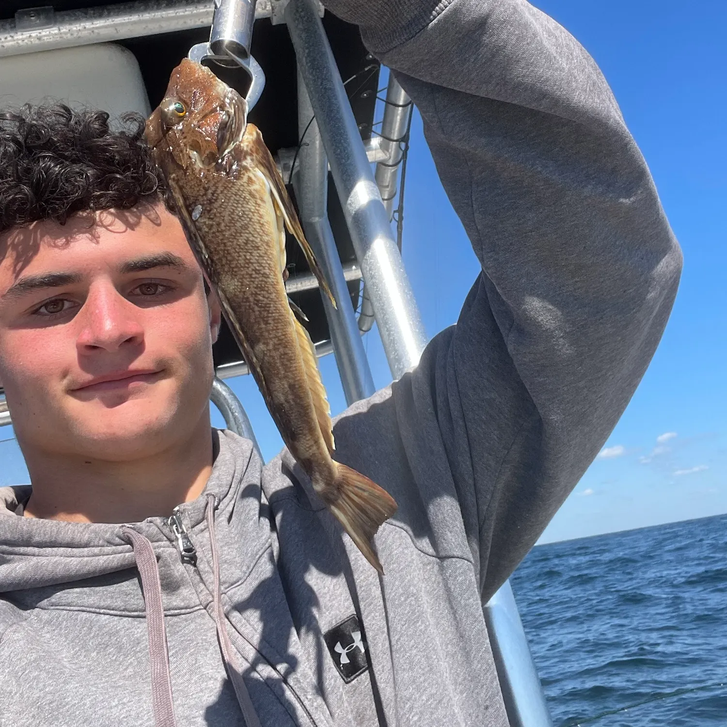 Northern searobin caught on Fishbrain