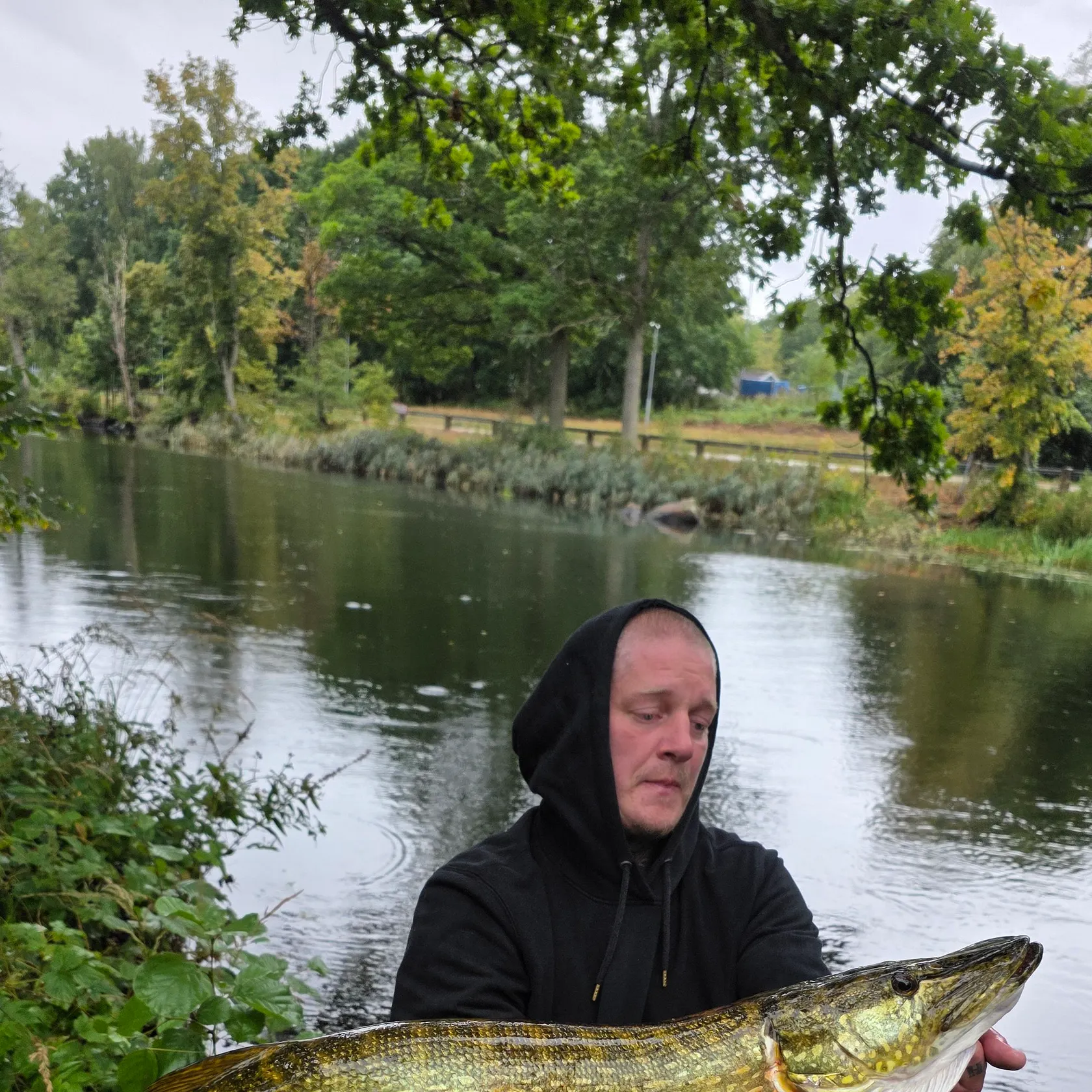 Northern pike caught on Fishbrain