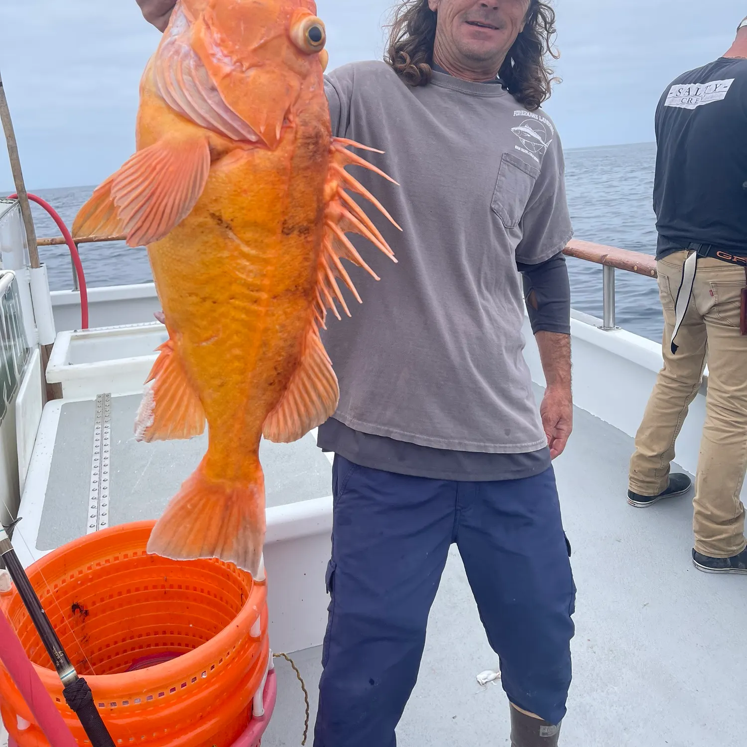 The most recent Cowcod rockfish catches on Fishbrain