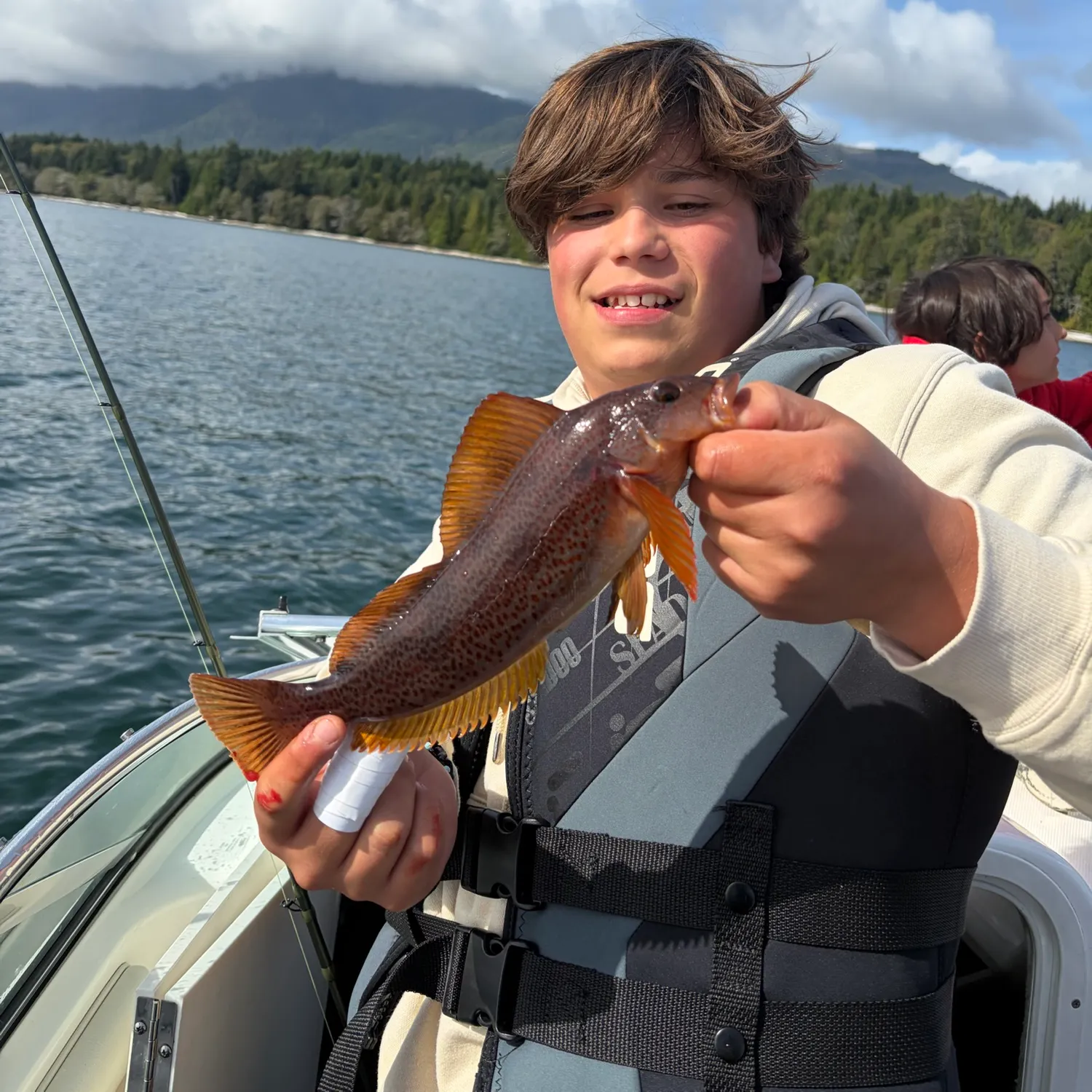 Kelp greenling caught on Fishbrain