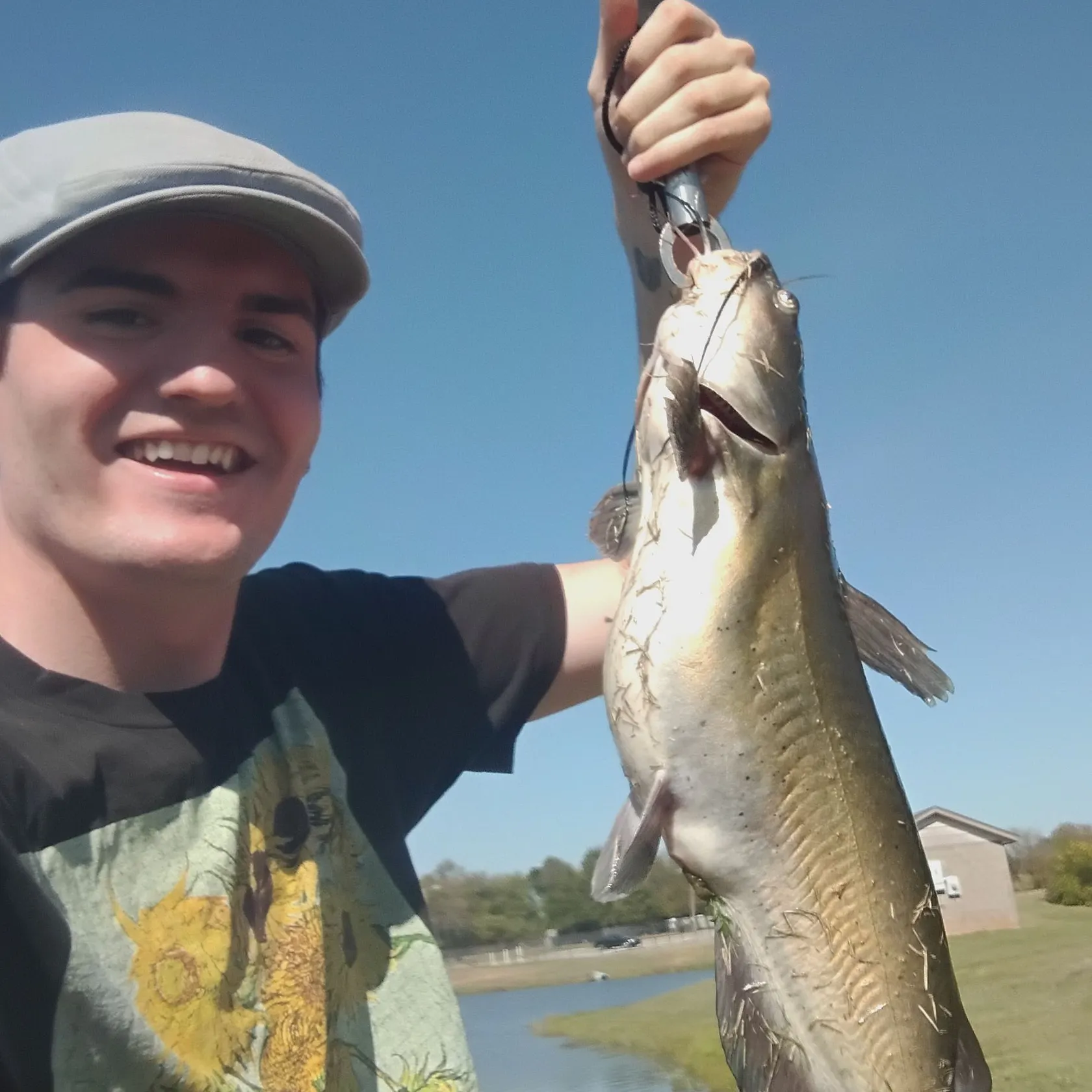 Channel catfish caught on Fishbrain