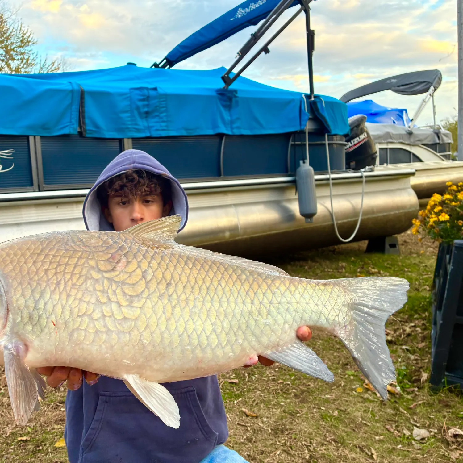 The most recent Smallmouth buffalo catches on Fishbrain