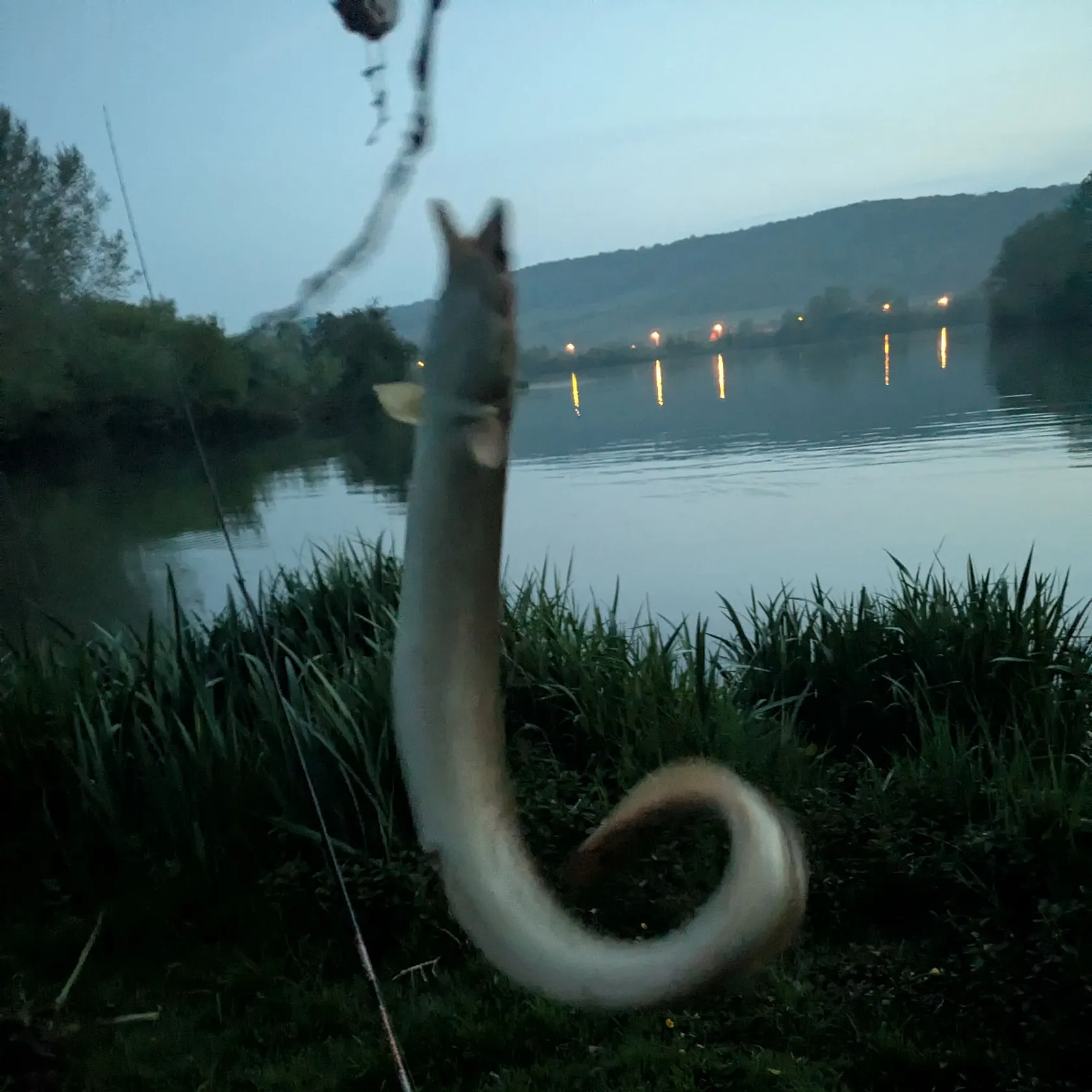 most liked catch image