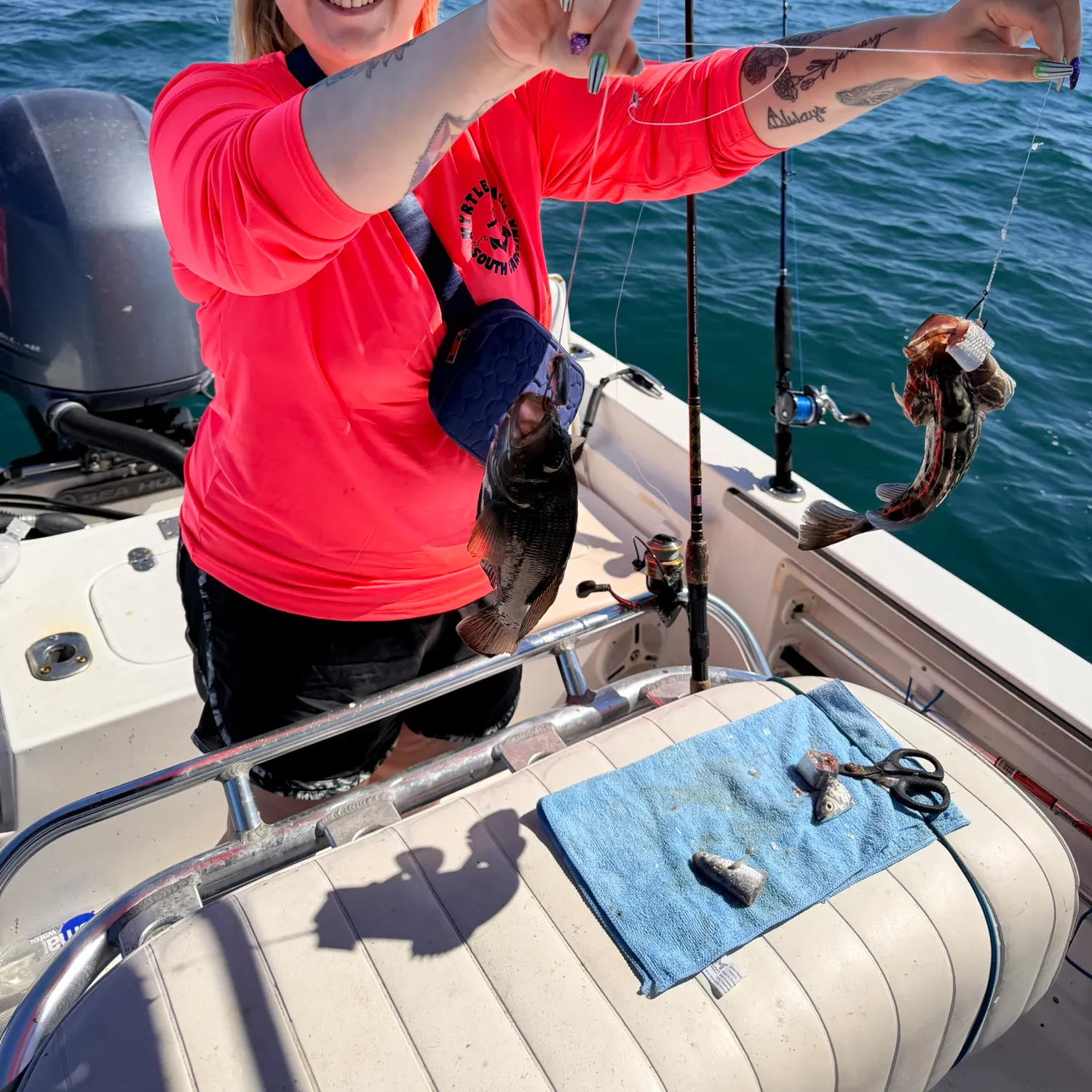 Black sea bass caught on Fishbrain