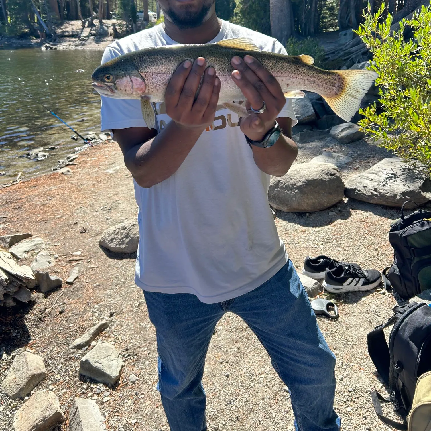 Rainbow trout caught on Fishbrain