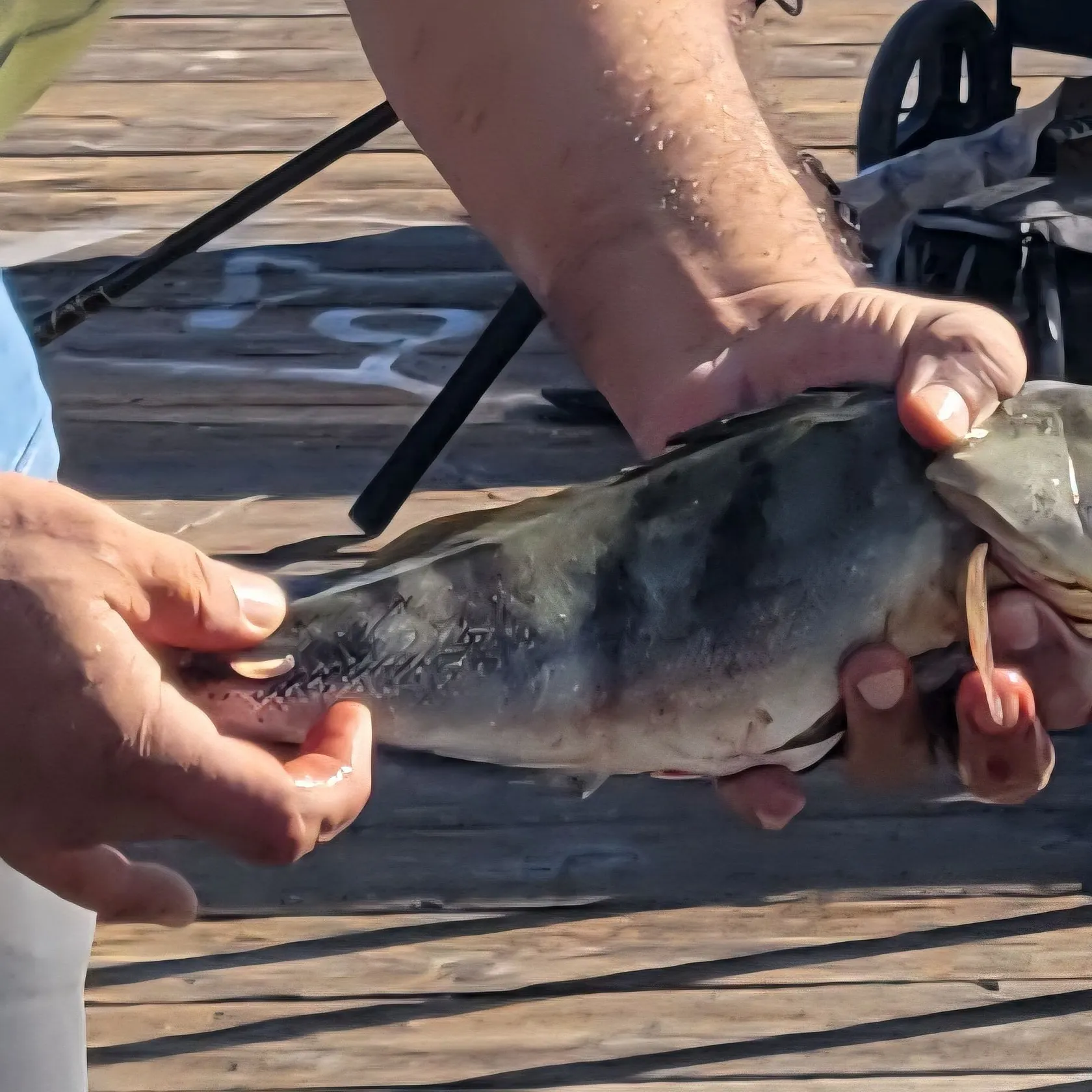 catch