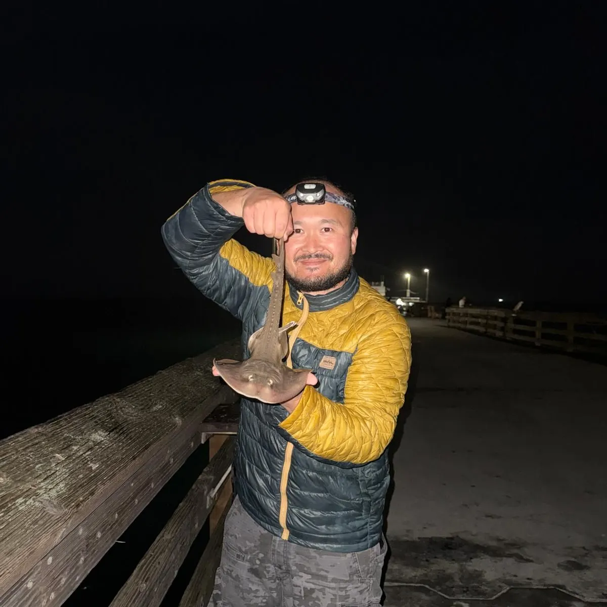 The most recent Thornback guitarfish catches on Fishbrain