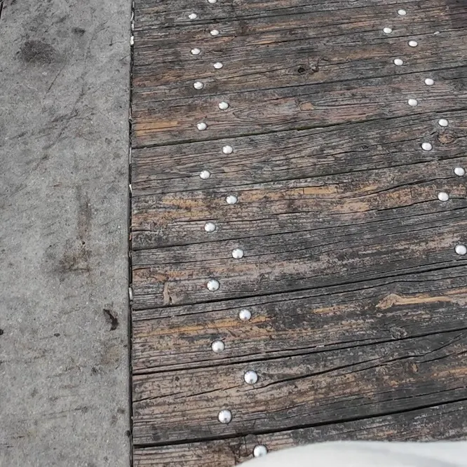 The most recent King mackerel catches on Fishbrain