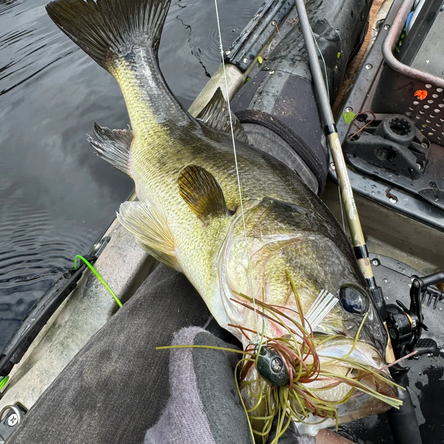 angler catch