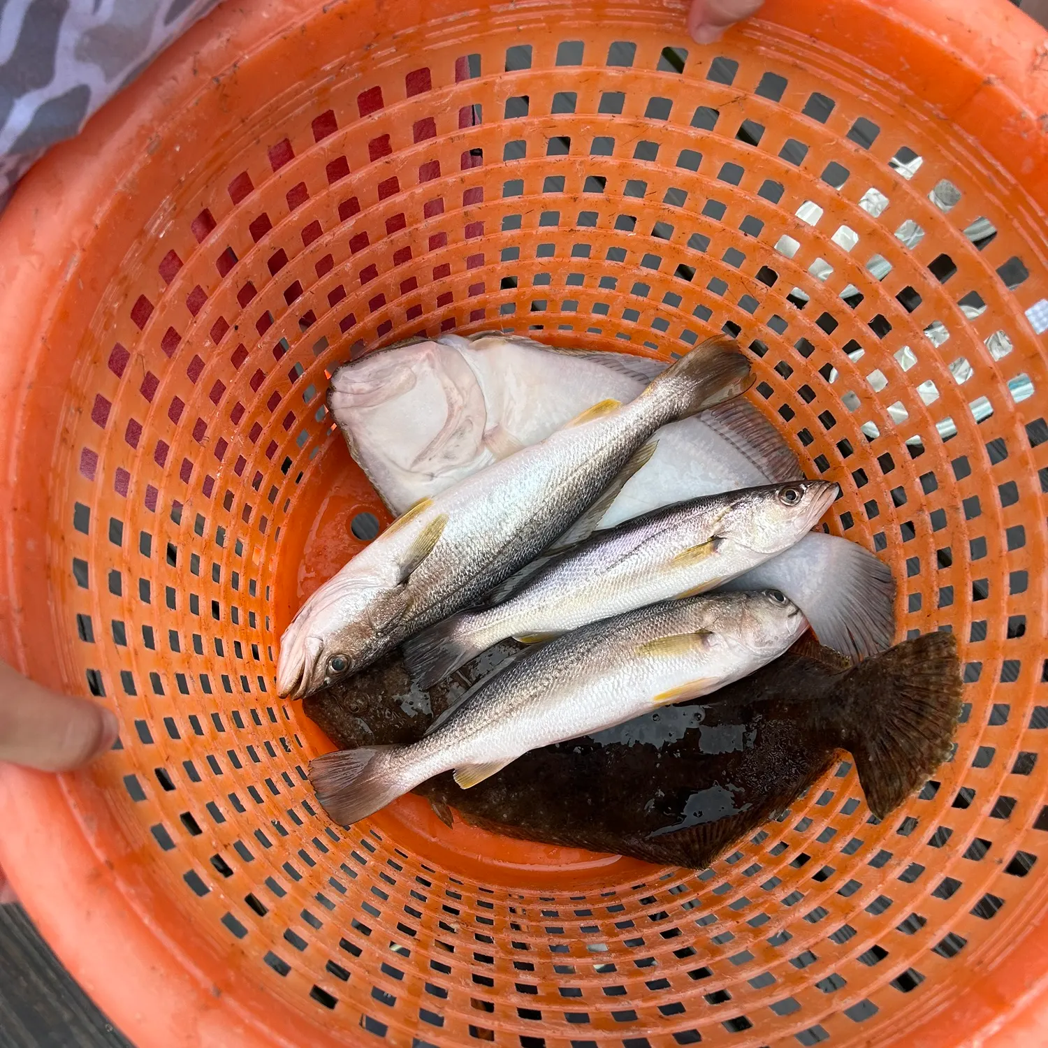 catch