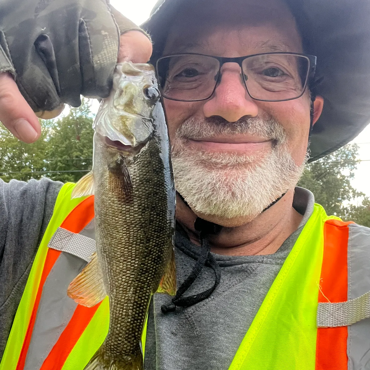 Smallmouth bass caught on Fishbrain