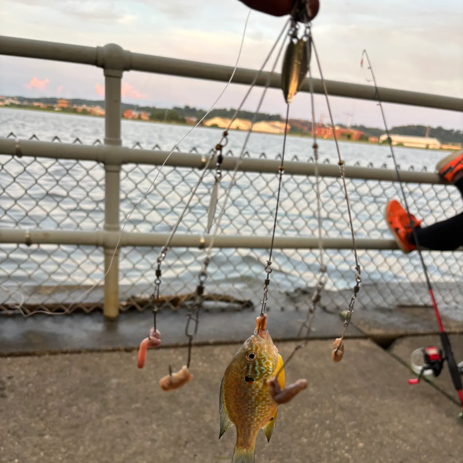 catch