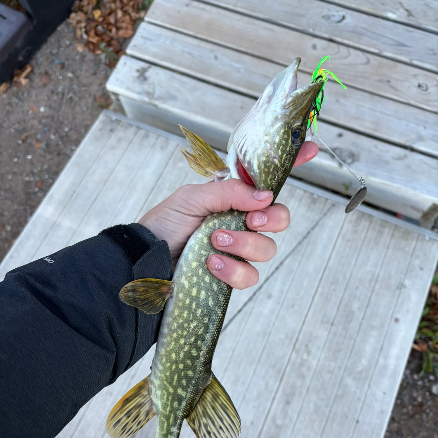 catch