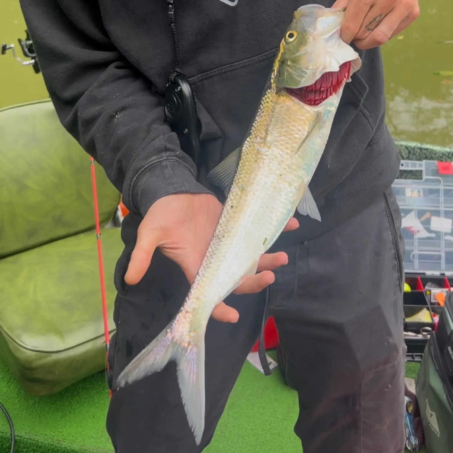 most liked catch image