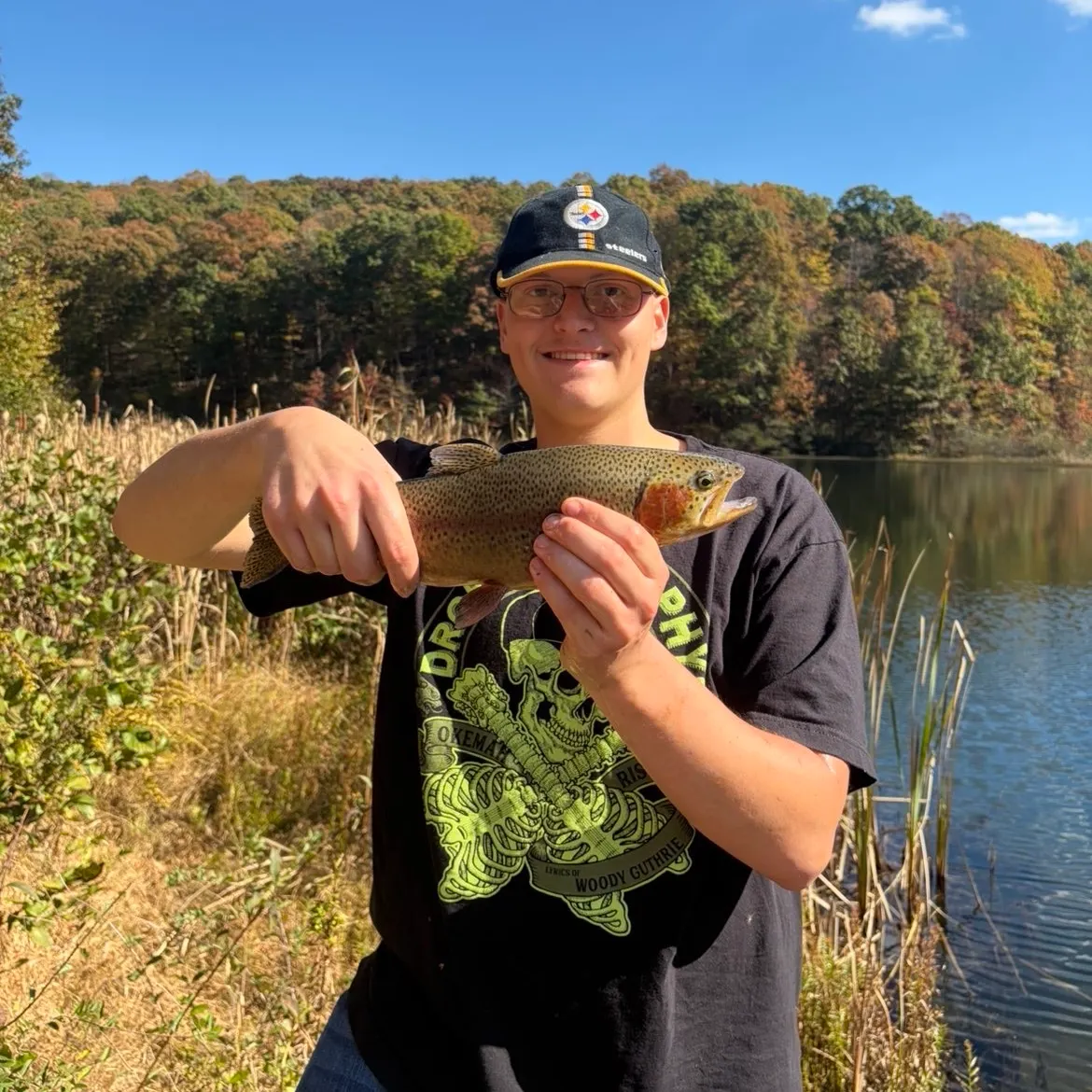 Rainbow trout caught on Fishbrain