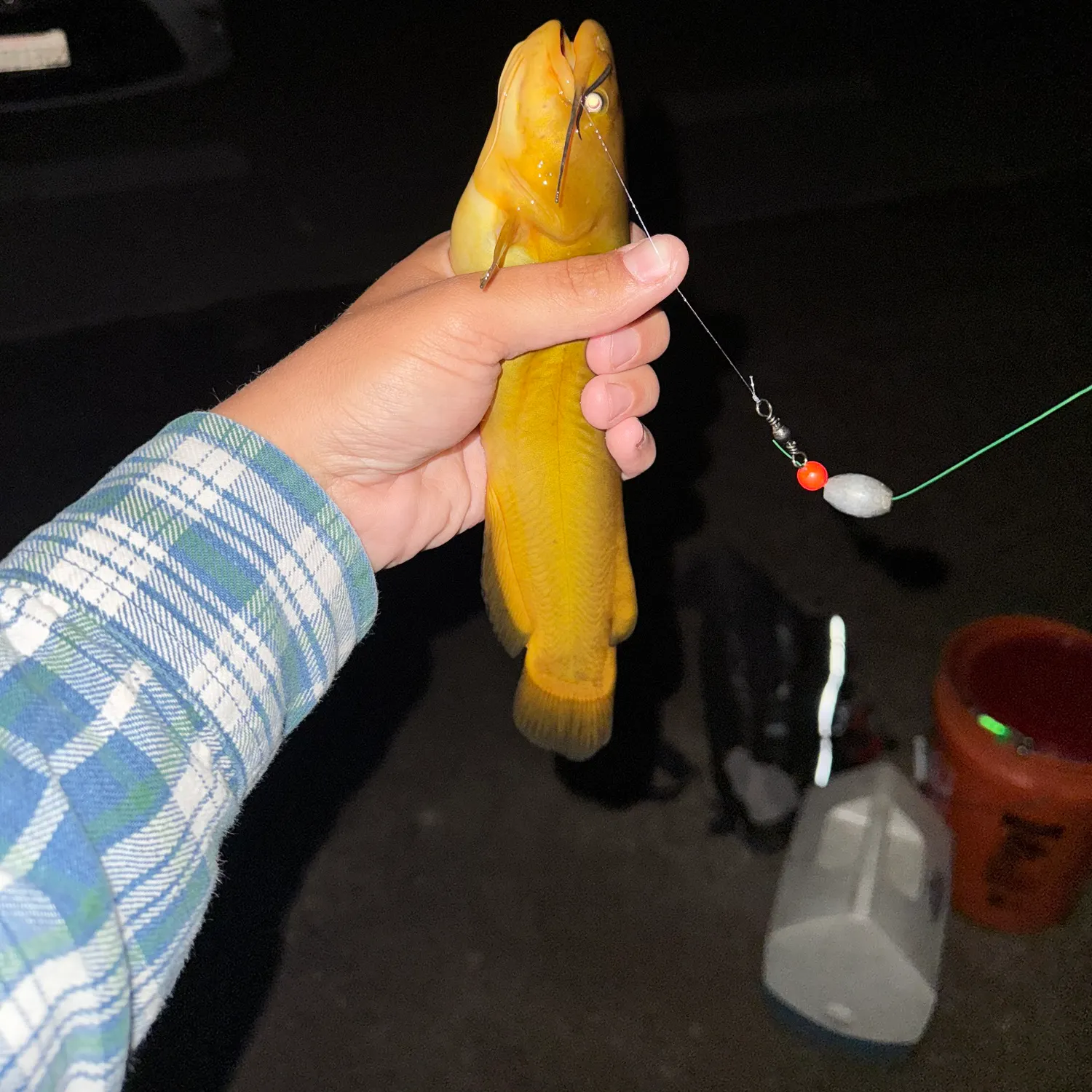 The most recent Yellow bullhead catches on Fishbrain