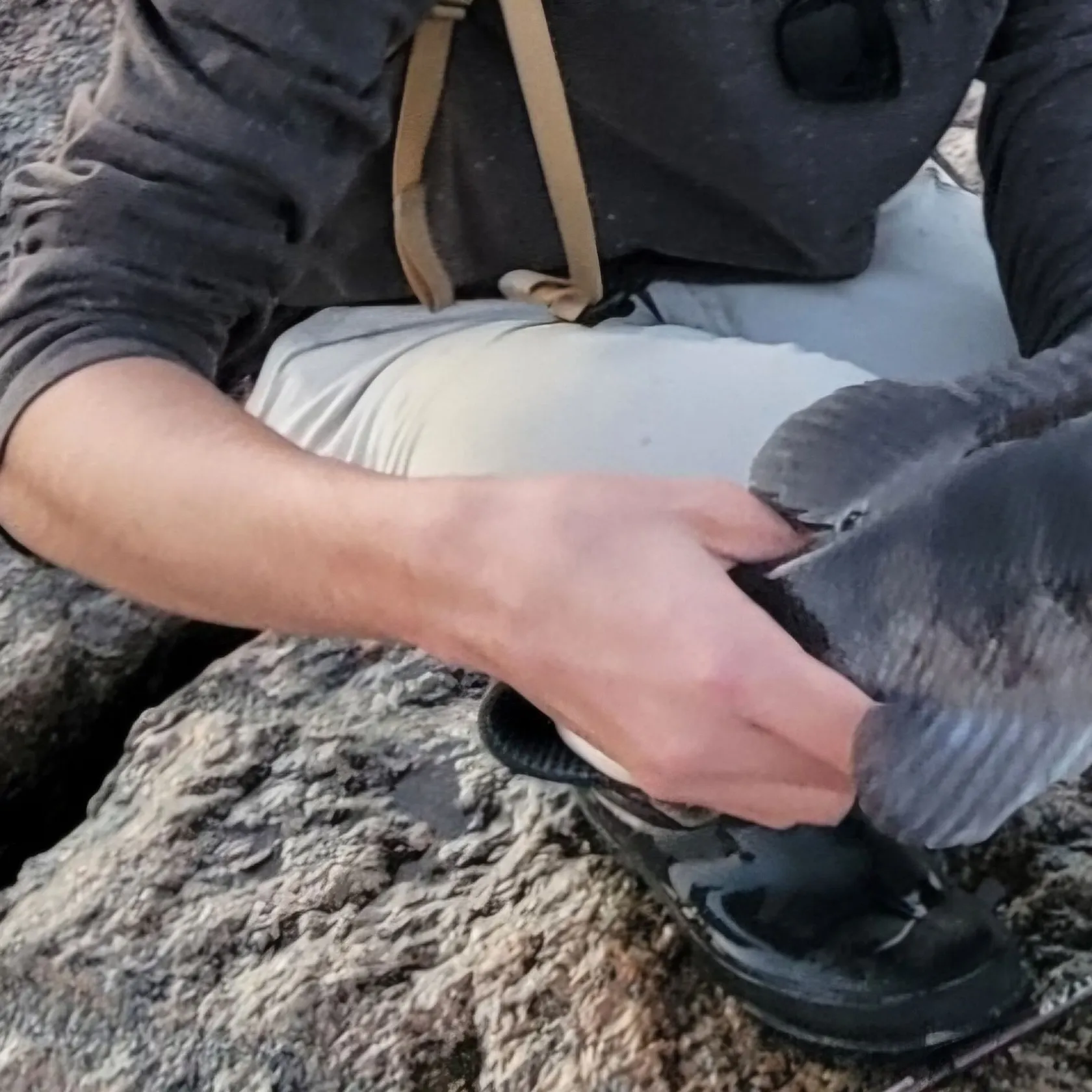 The most recent Tautog catches on Fishbrain