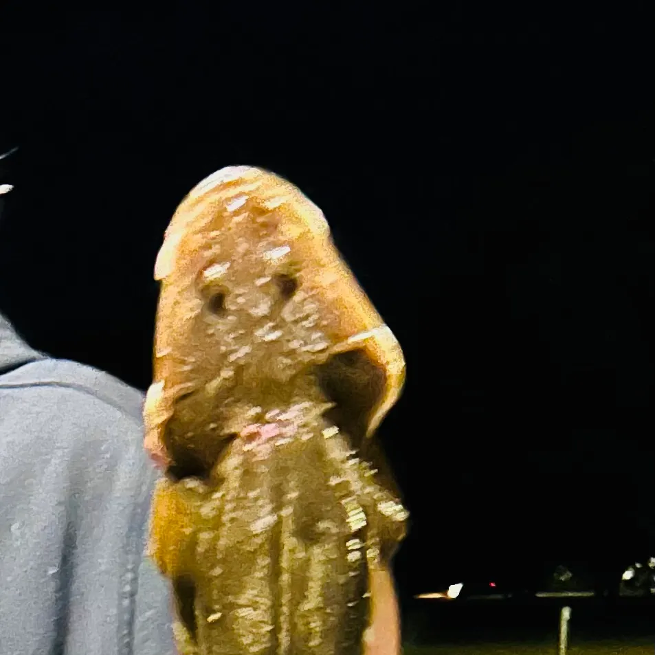 The most recent Dusky flathead catches on Fishbrain